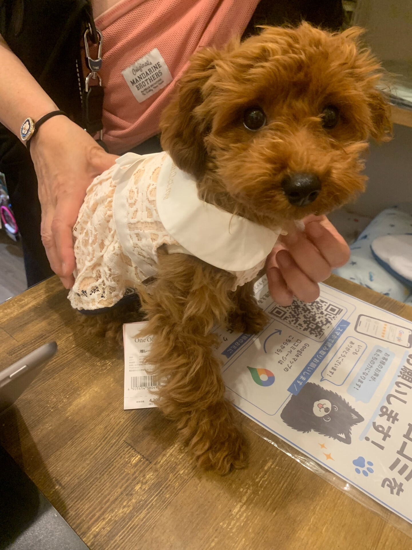 ココちゃんご来店ありがとうございます✨