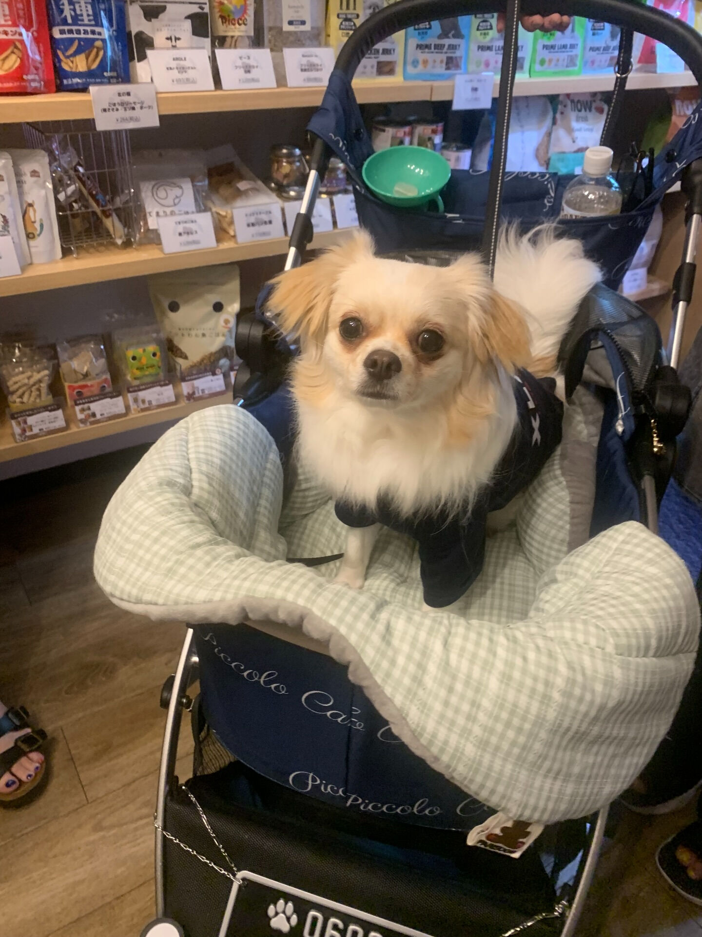 ロンくんご来店ありがとうございます😊