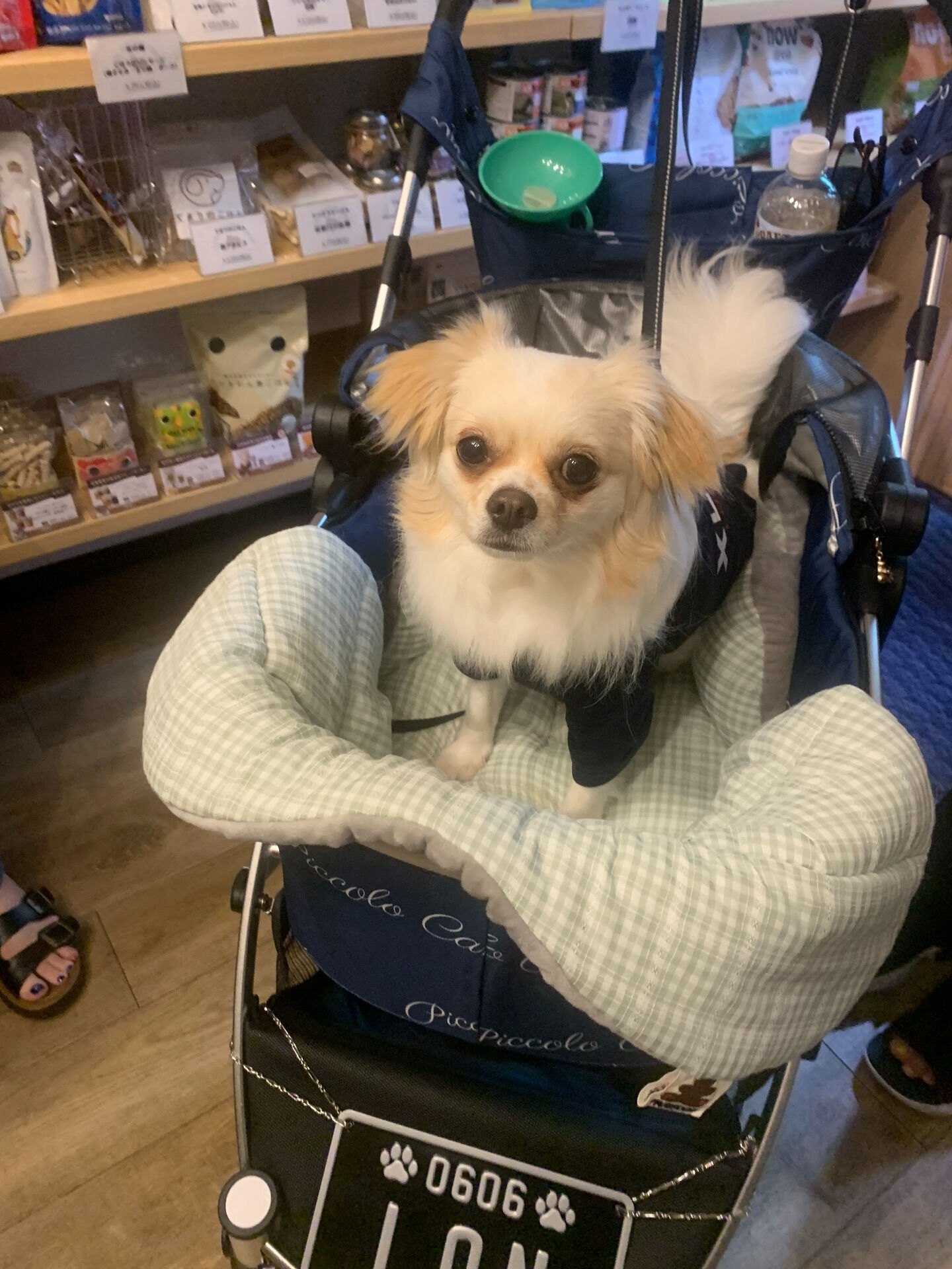 ロンくんご来店ありがとうございます😊