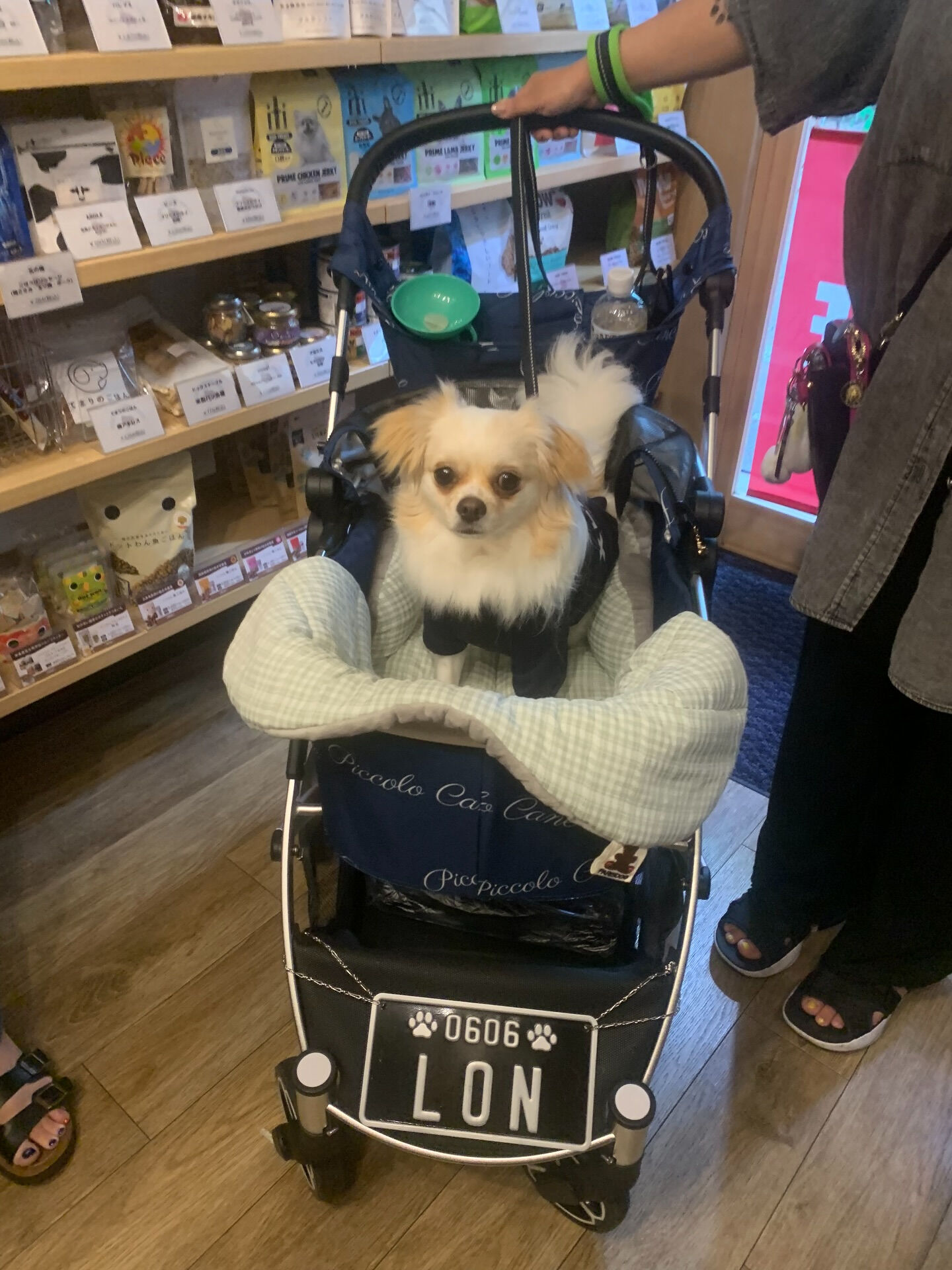 ロンくんご来店ありがとうございます😊