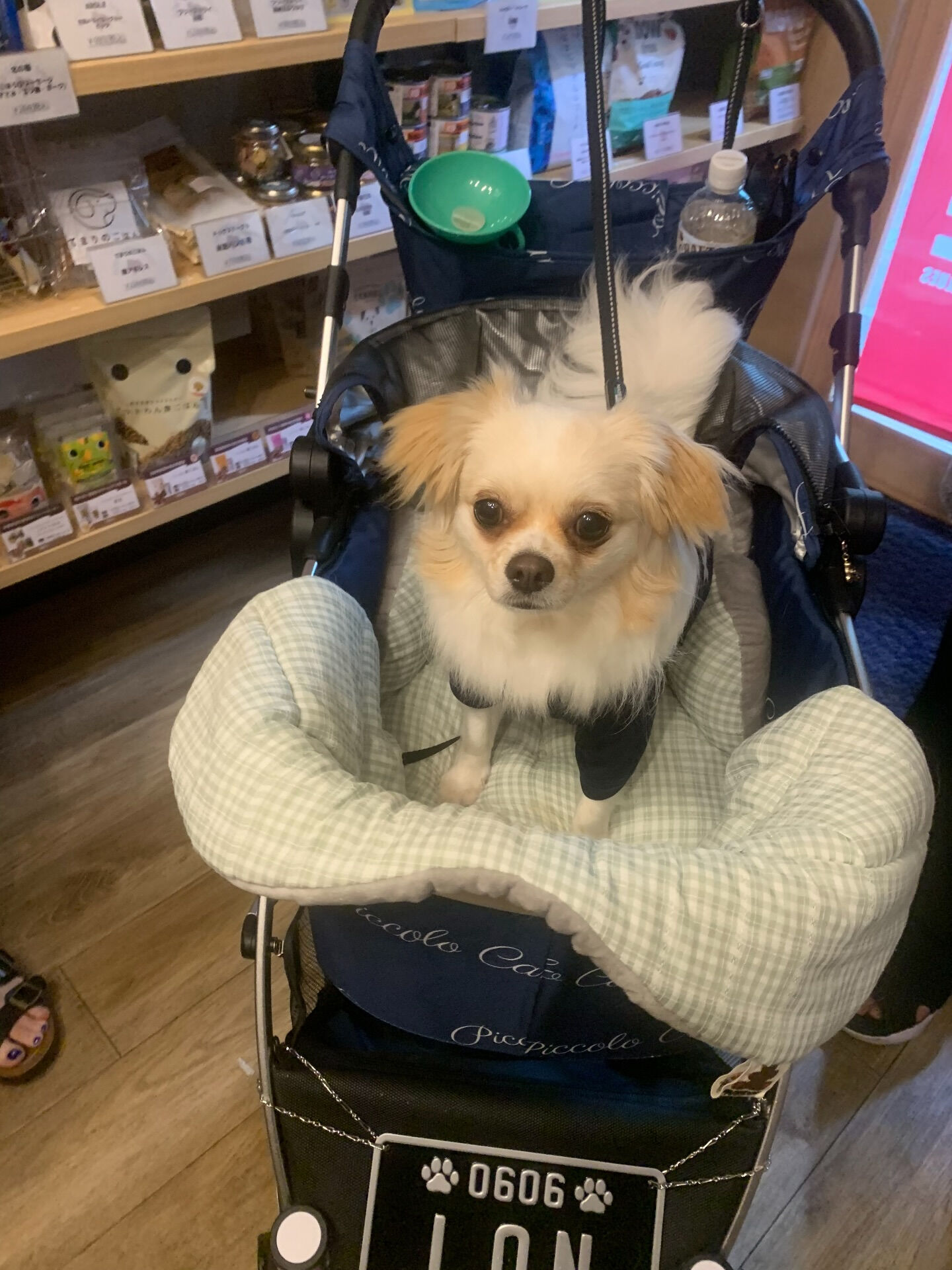 ロンくんご来店ありがとうございます😊