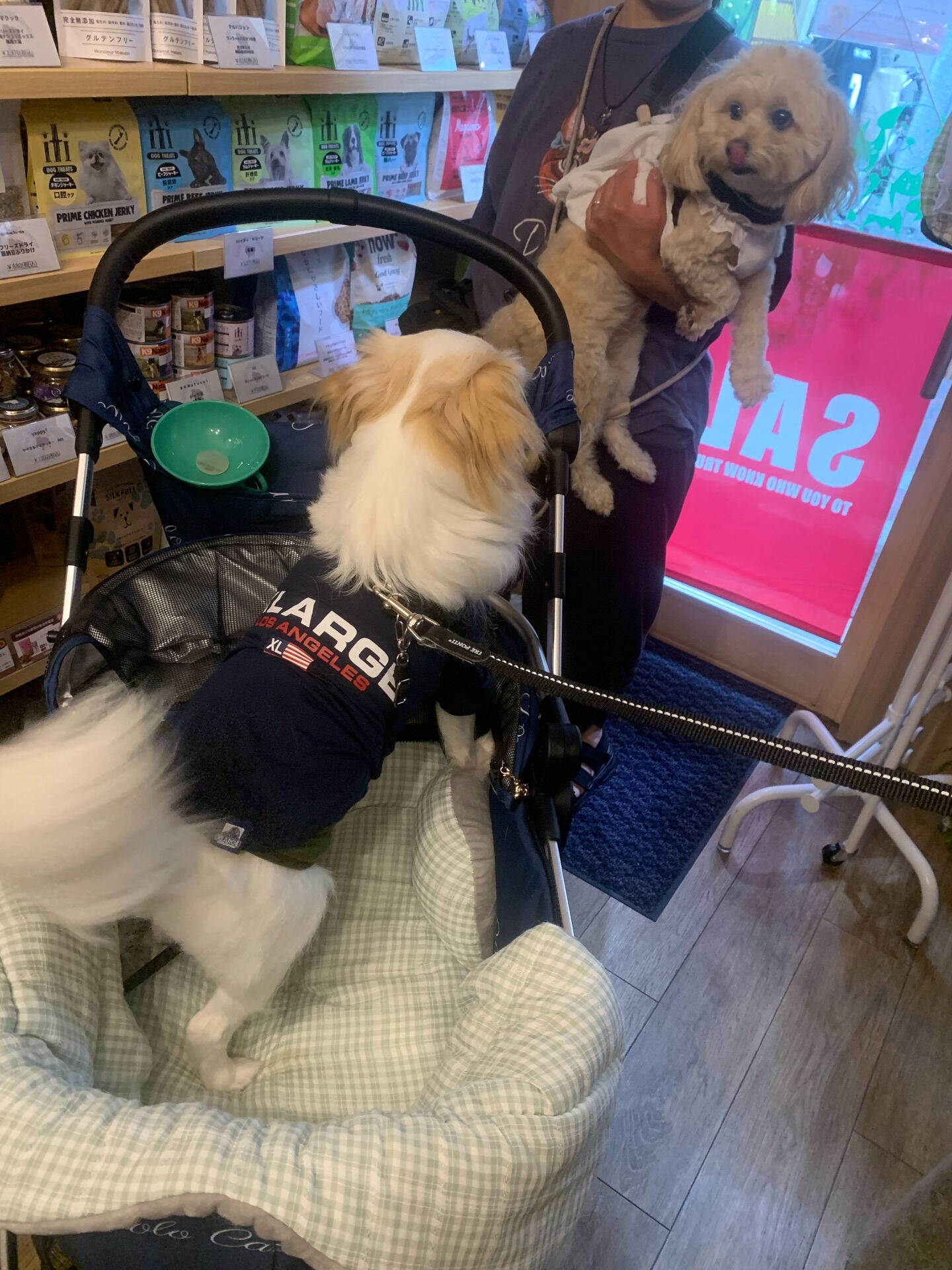 ウコちゃんご来店ありがとうございます😊