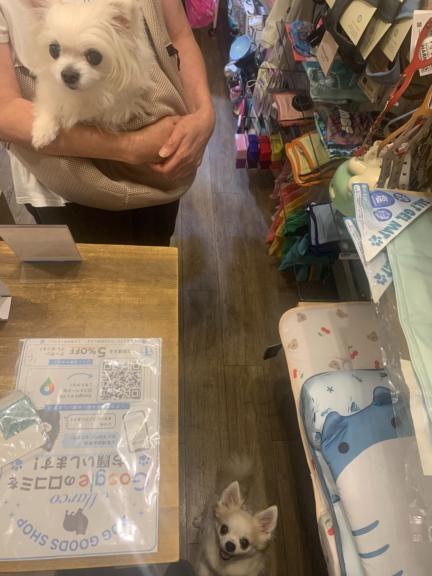 ももちゃん、ここちゃんご来店ありがとうございます😊