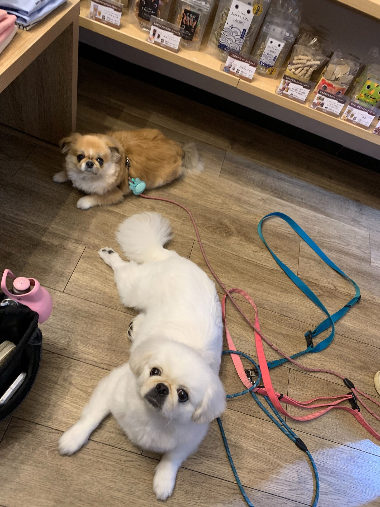 本日の大トリは、ハルくん、ナツくんでしたー🙌