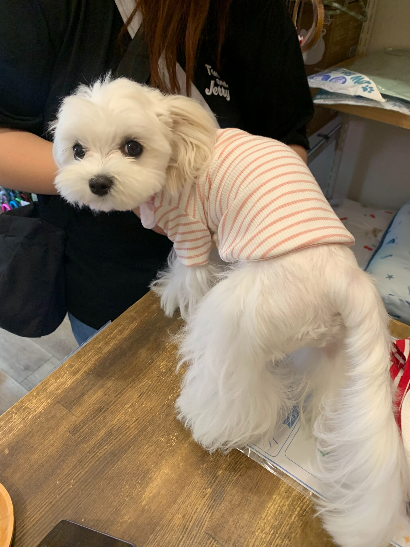 SUN SUNちゃん初めまして✨