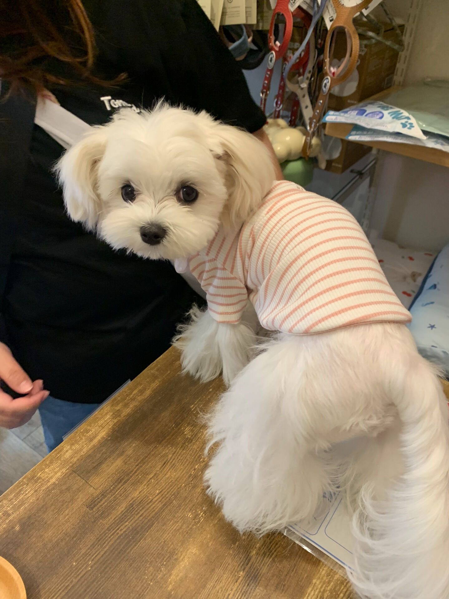 SUN SUNちゃん初めまして✨