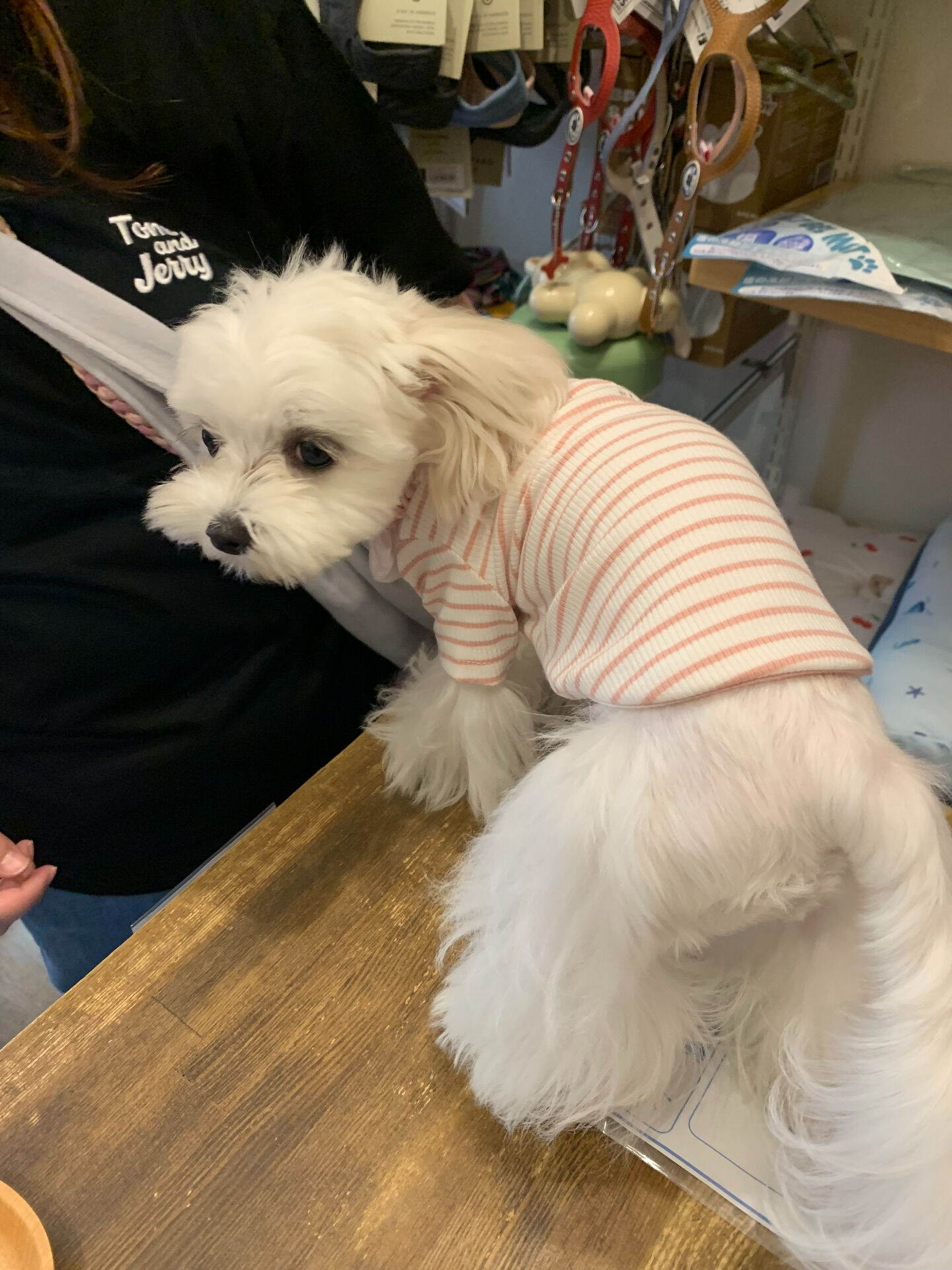 SUN SUNちゃん初めまして✨