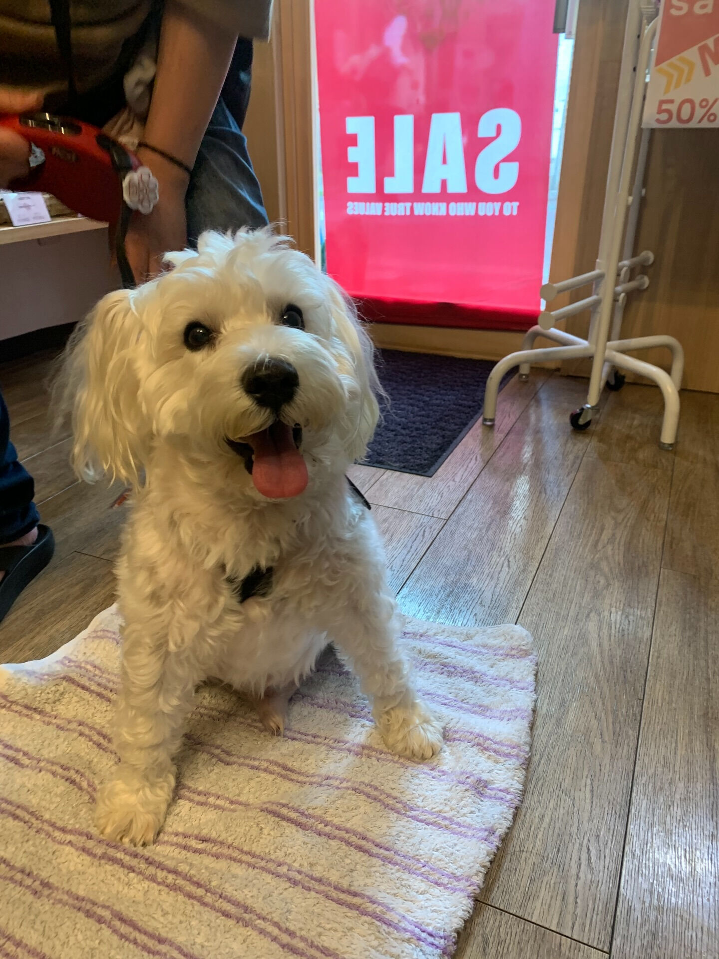 アネくんご来店ありがとうございます😊