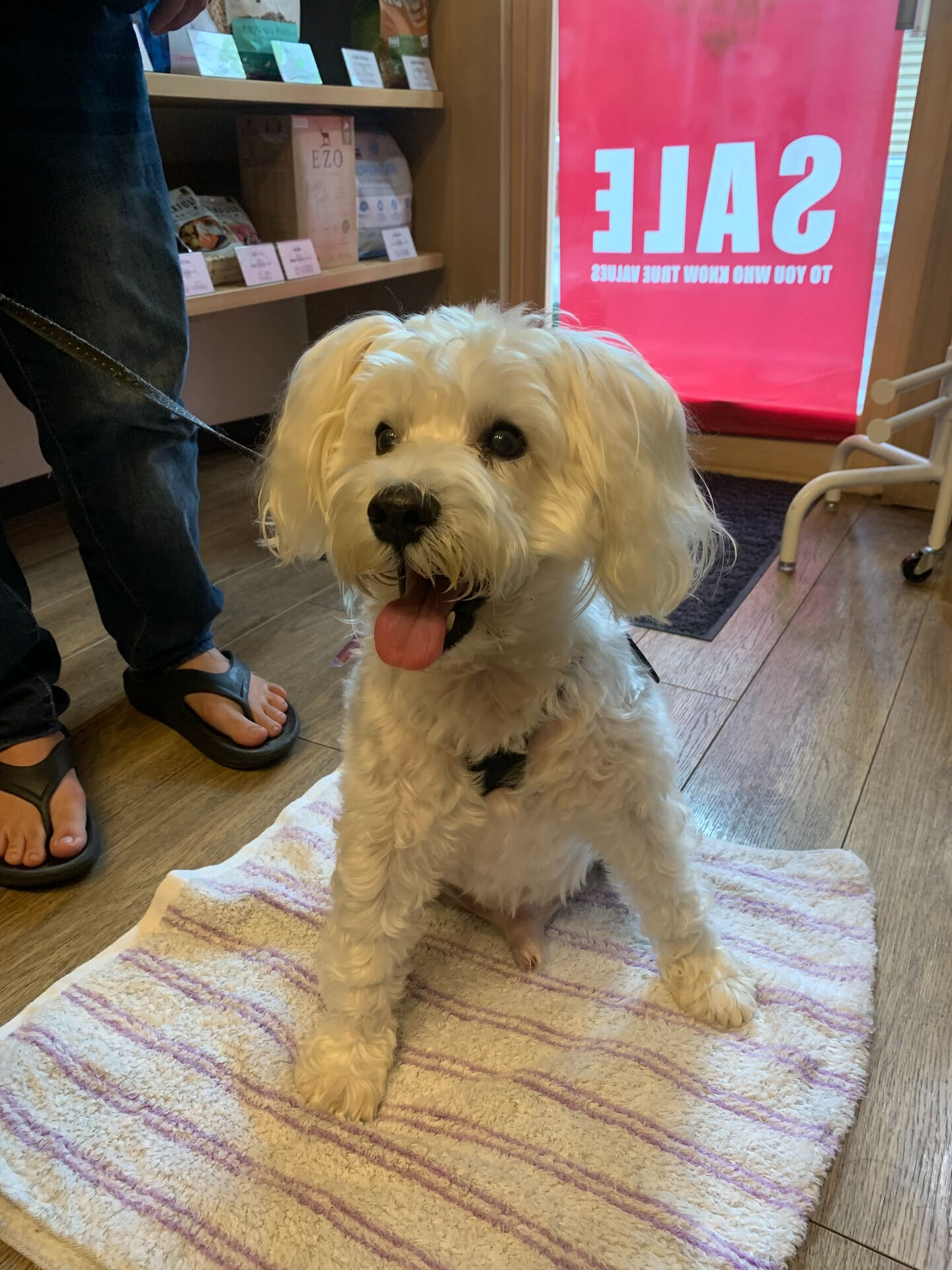 アネくんご来店ありがとうございます😊