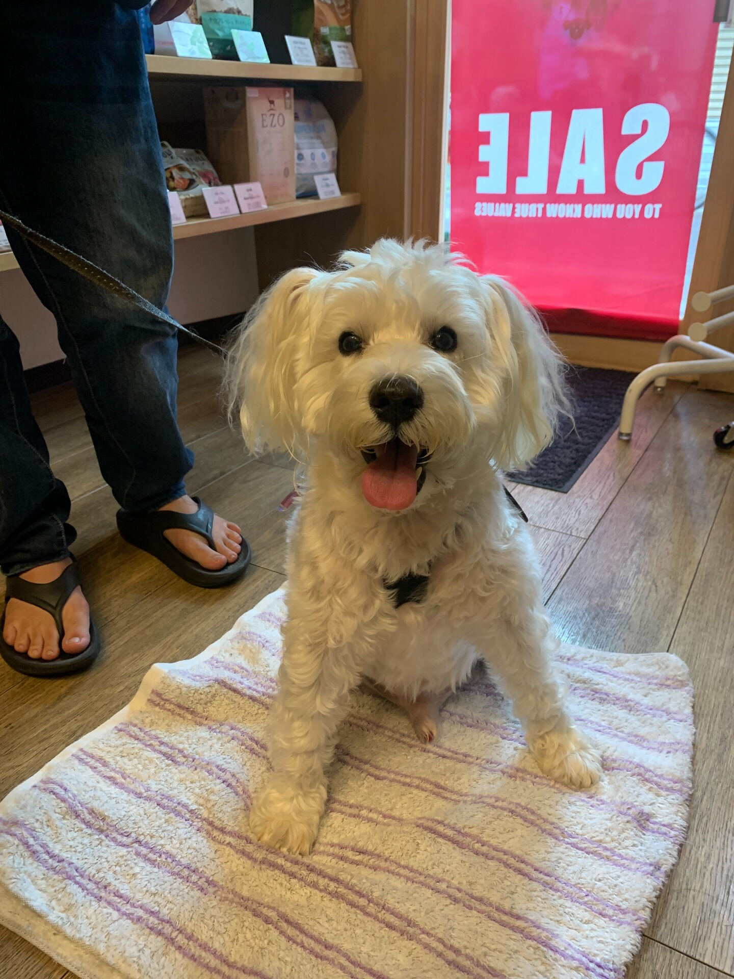 アネくんご来店ありがとうございます😊