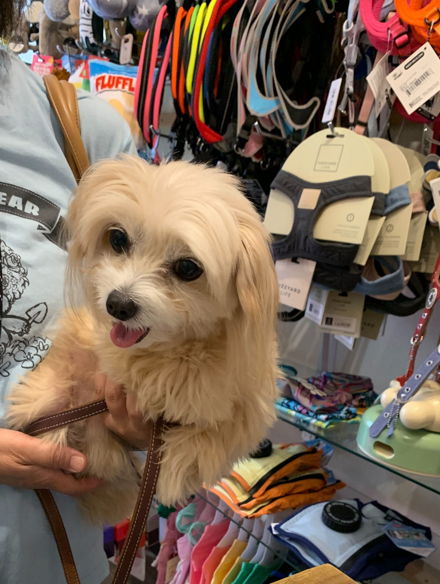 きみちゃんご来店ありがとうございます😊