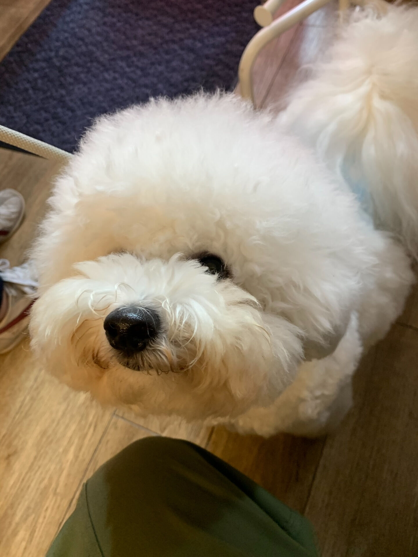 フランくんご来店ありがとうございます😊