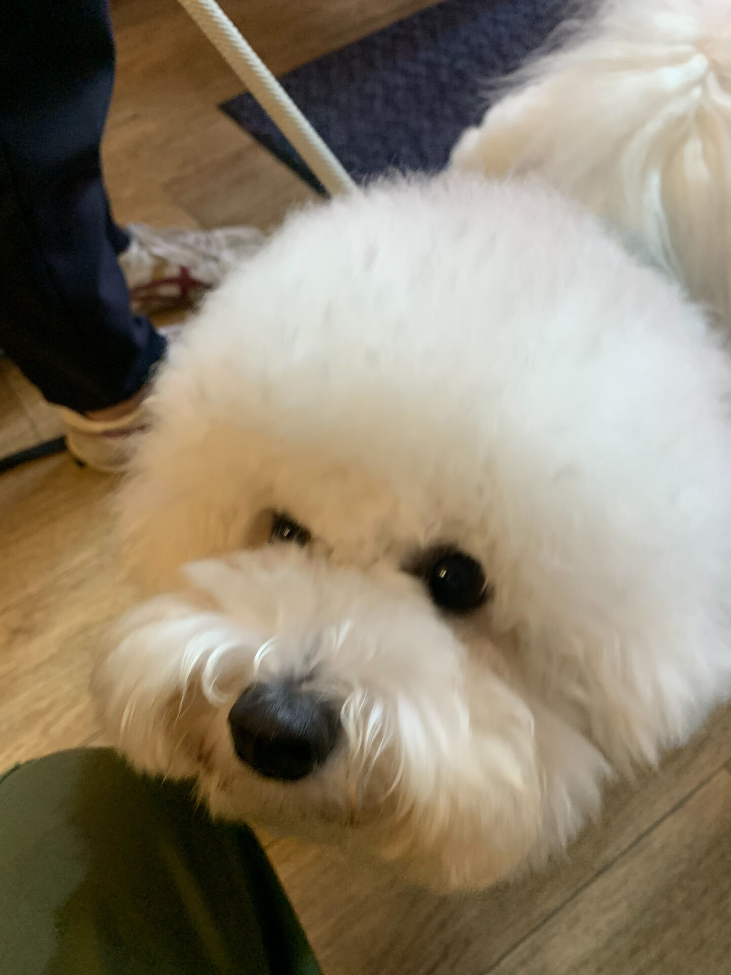 フランくんご来店ありがとうございます😊