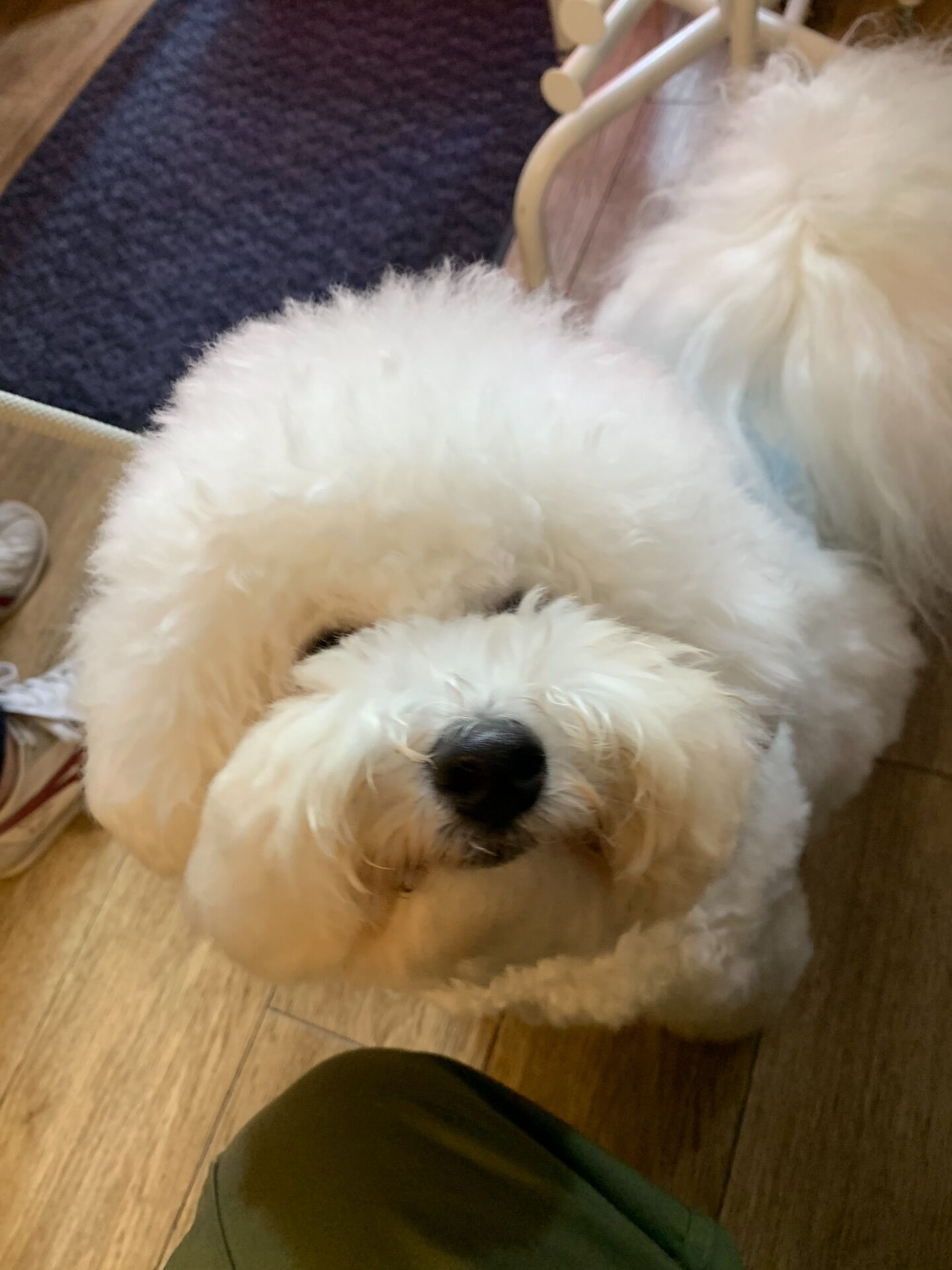 フランくんご来店ありがとうございます😊