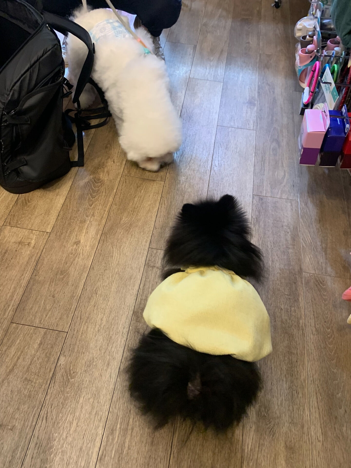 フランくんご来店ありがとうございます😊