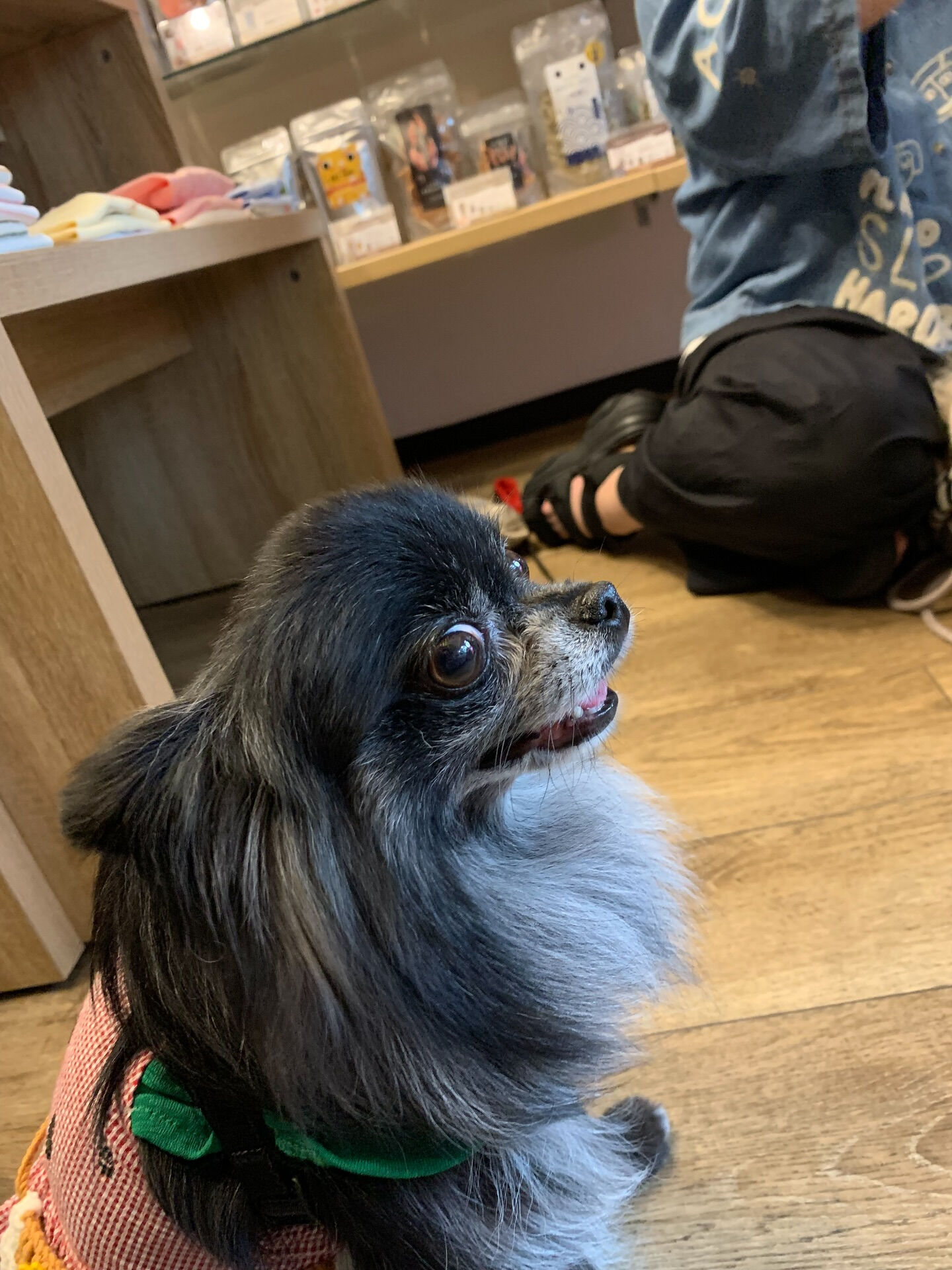 ラナちゃんご来店ありがとうございます😊