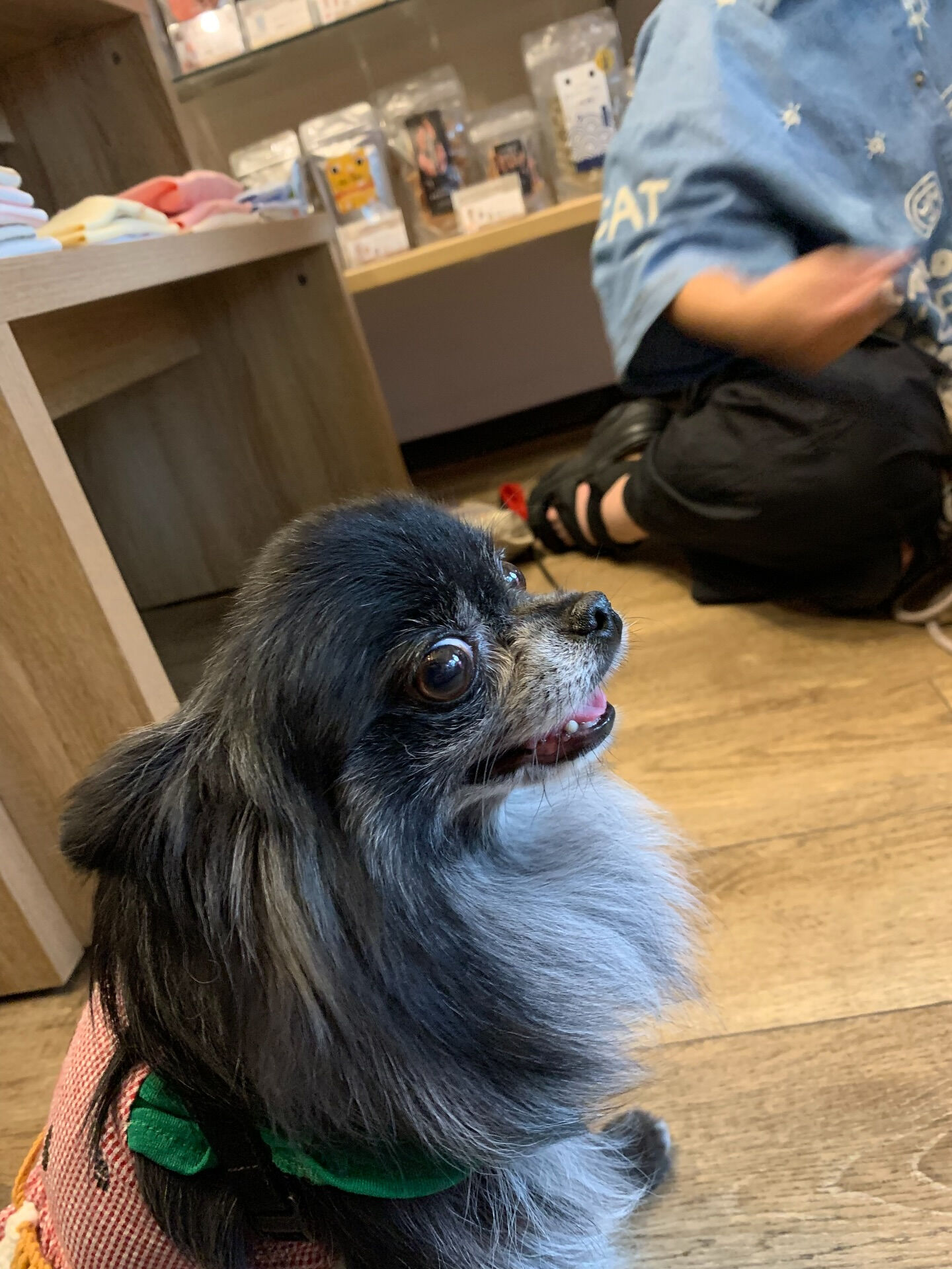 ラナちゃんご来店ありがとうございます😊