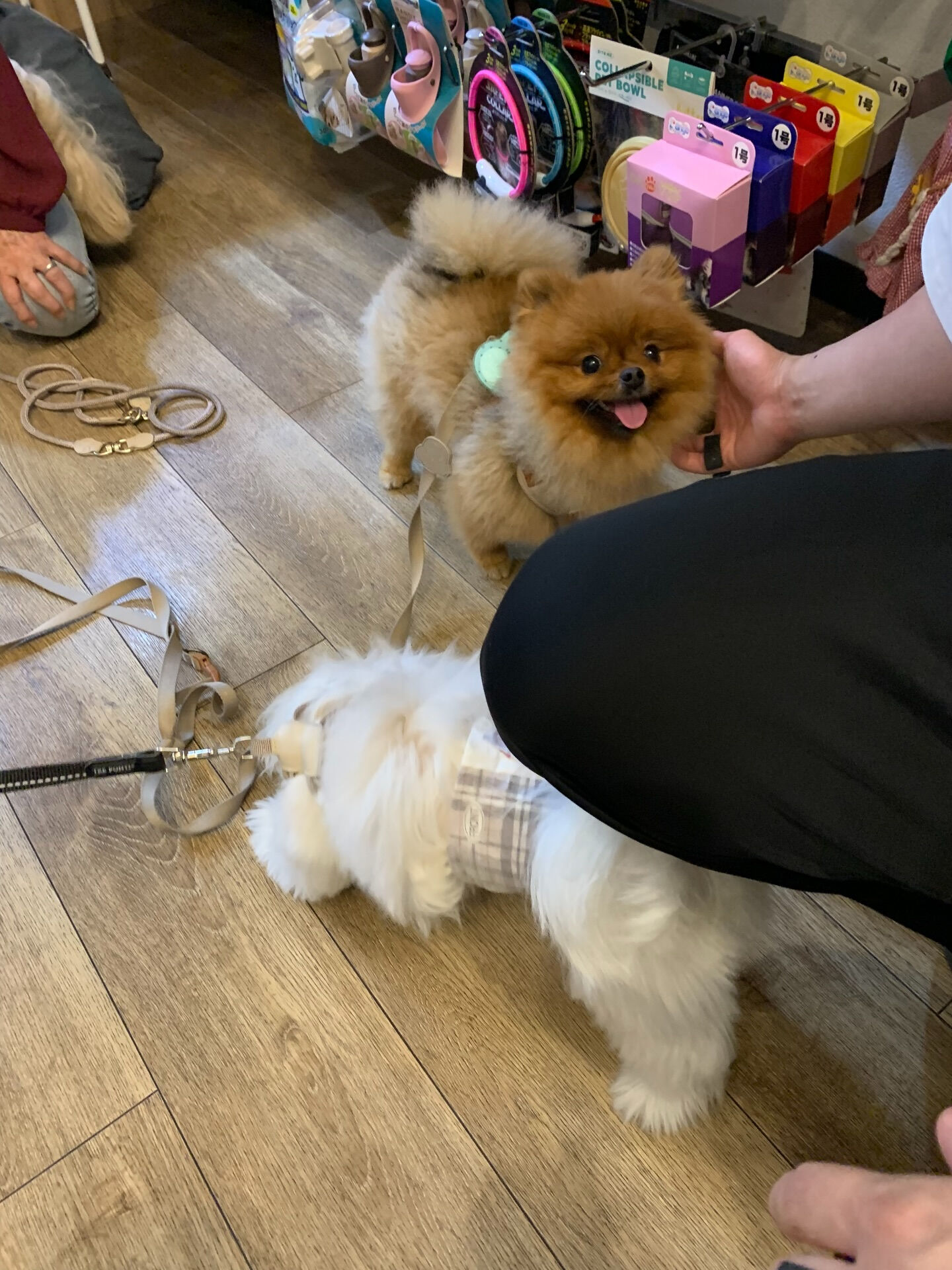 イニちゃんご来店ありがとうございます😊