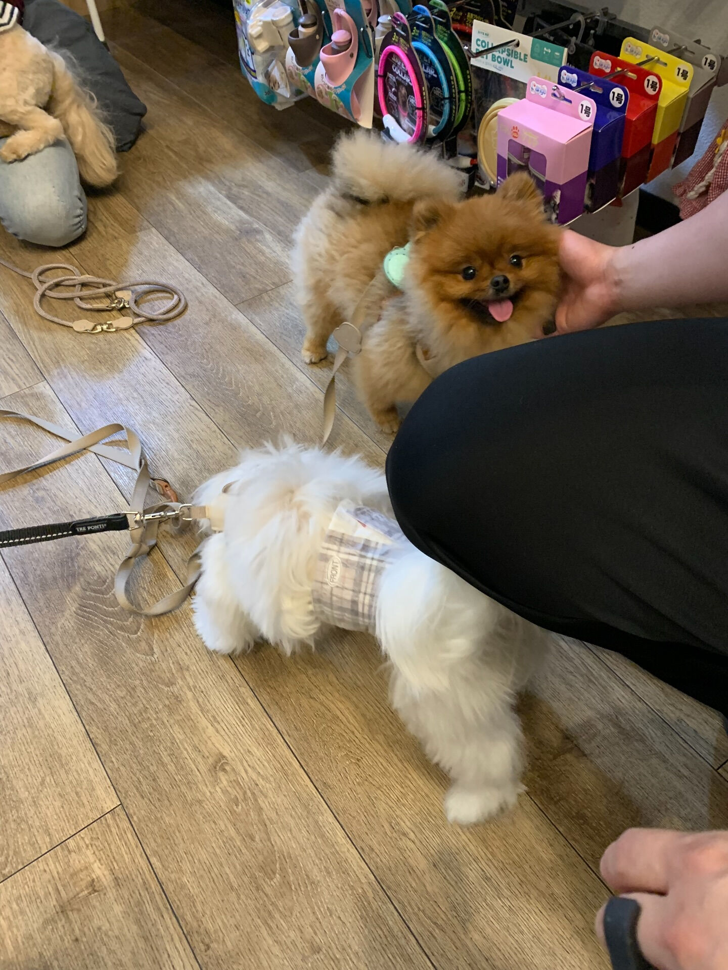 イニちゃんご来店ありがとうございます😊