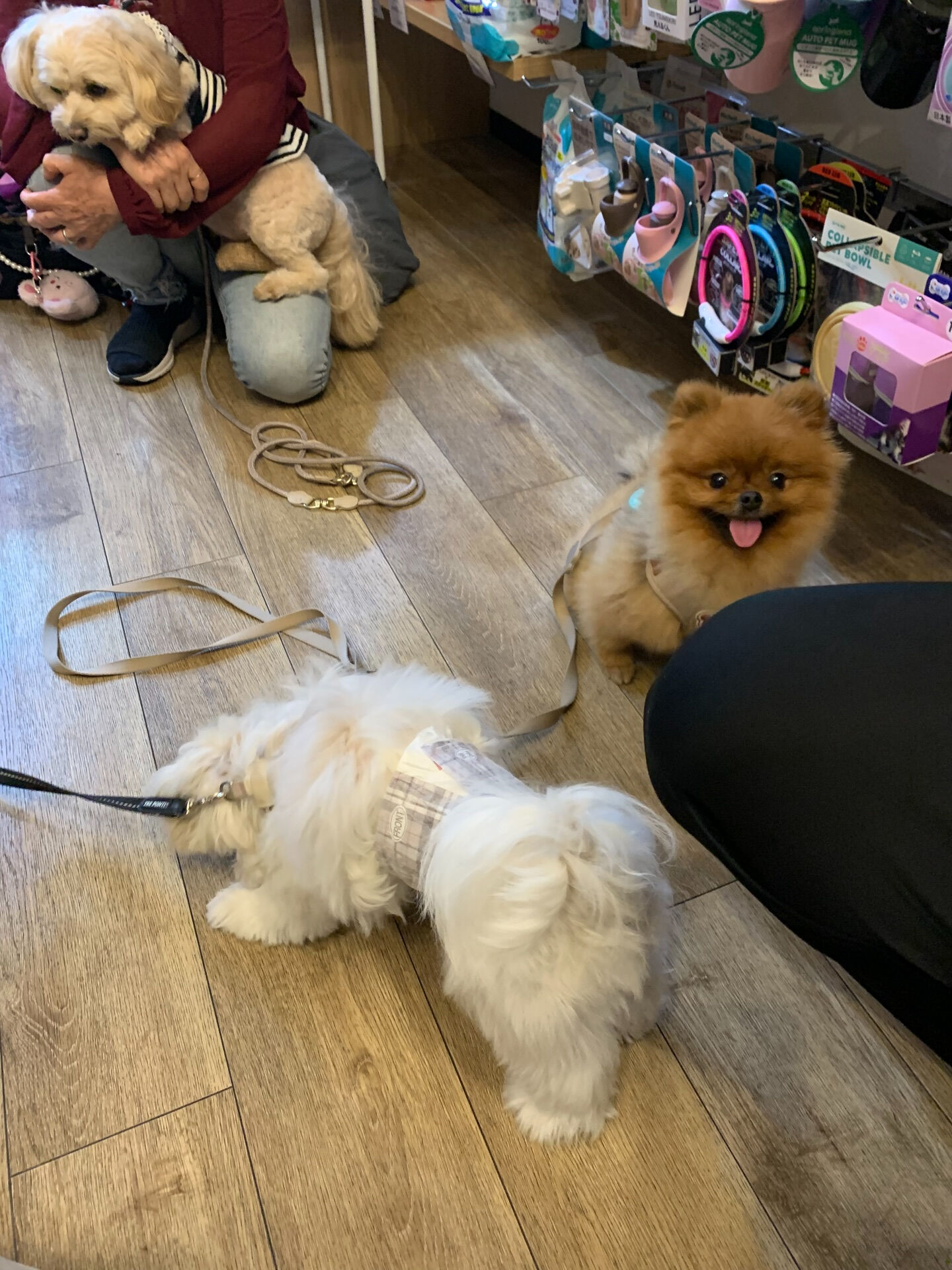 イニちゃんご来店ありがとうございます😊