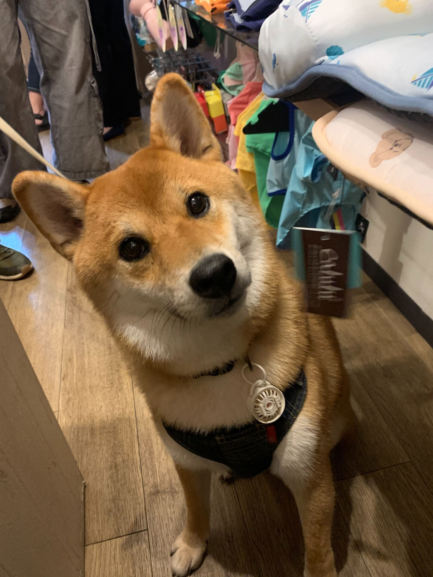 あきくん初めまして✨