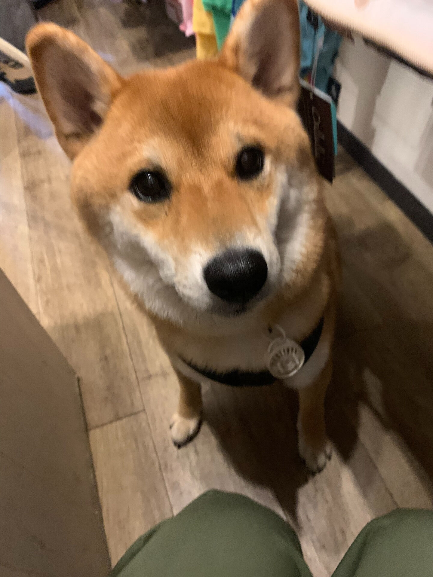あきくん初めまして✨