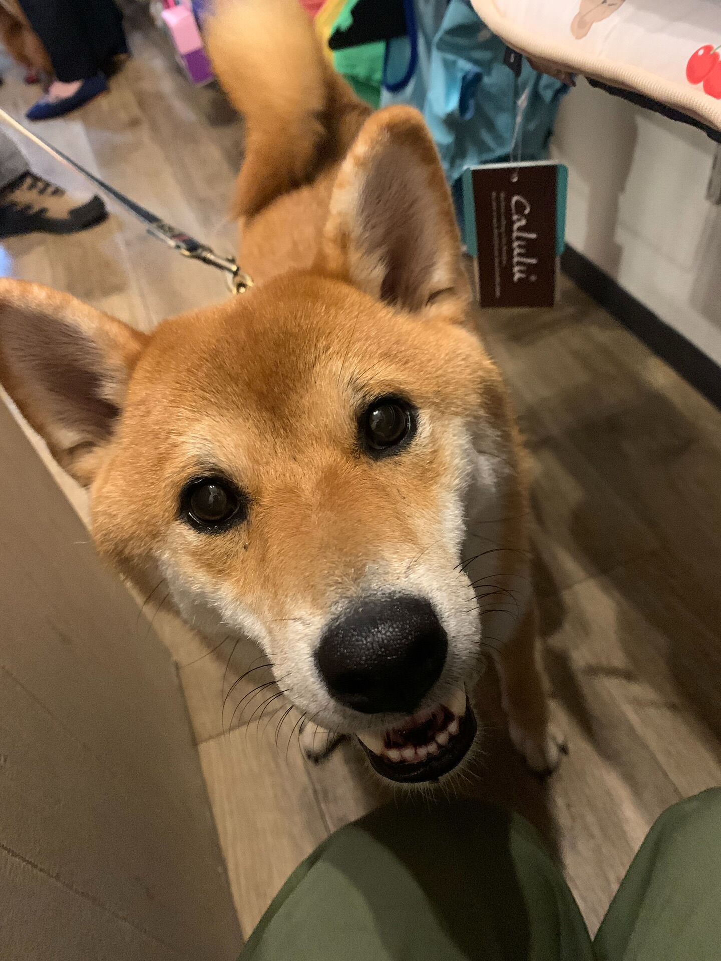あきくん初めまして✨
