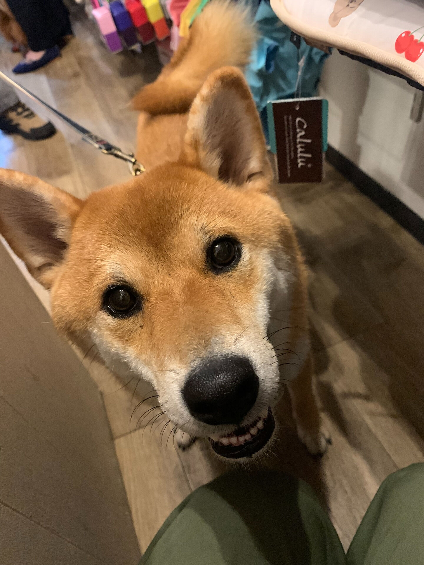 あきくん初めまして✨