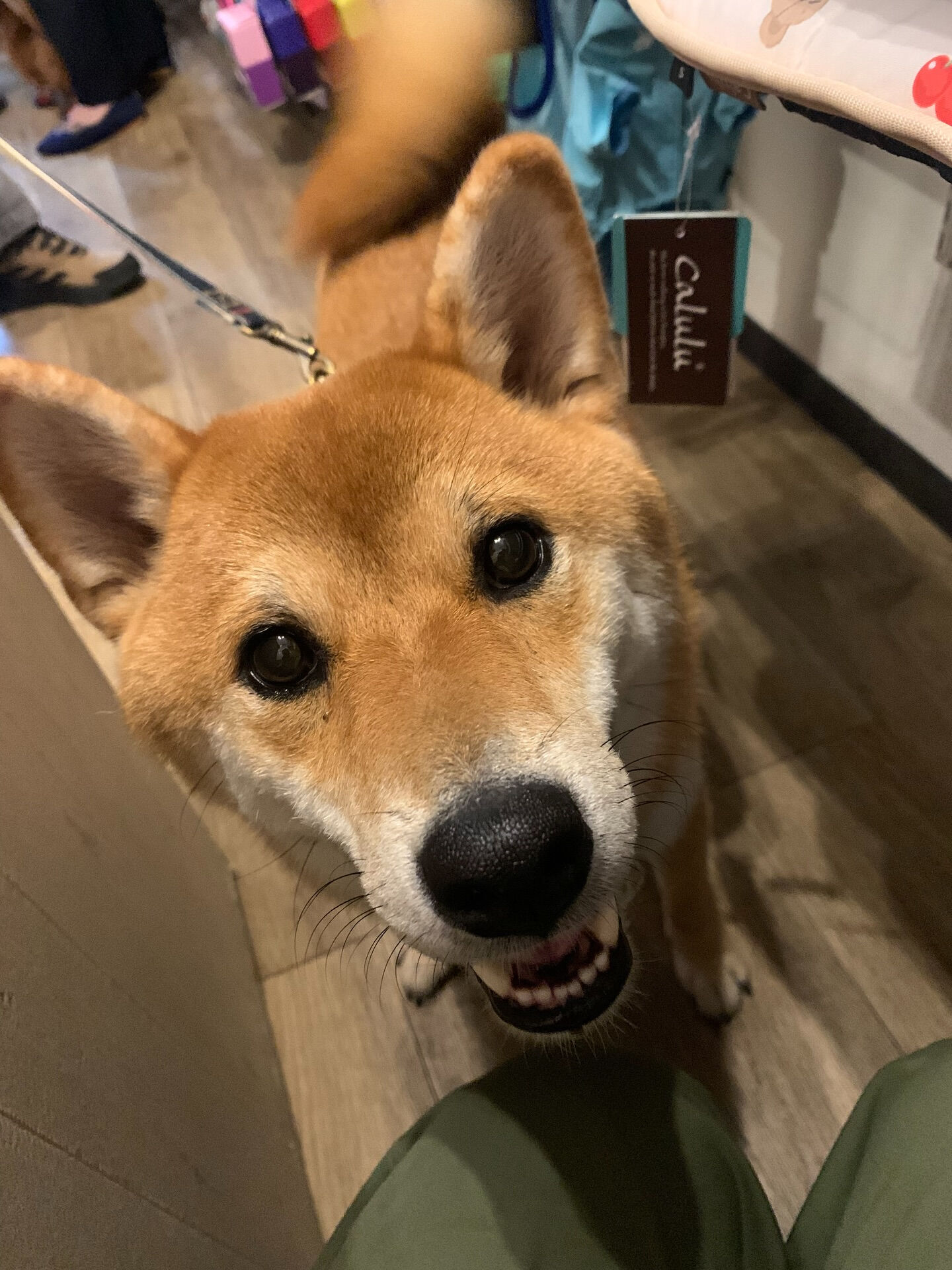 あきくん初めまして✨