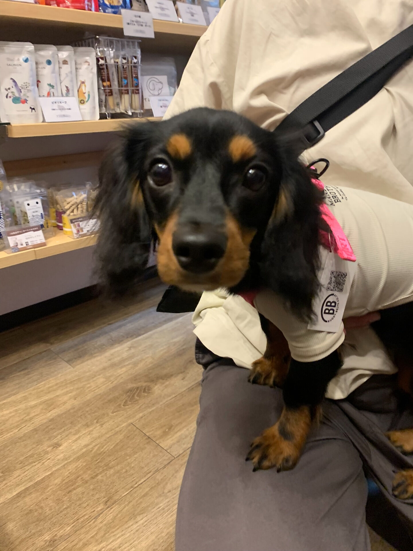 てんちゃんご来店ありがとうございます😊