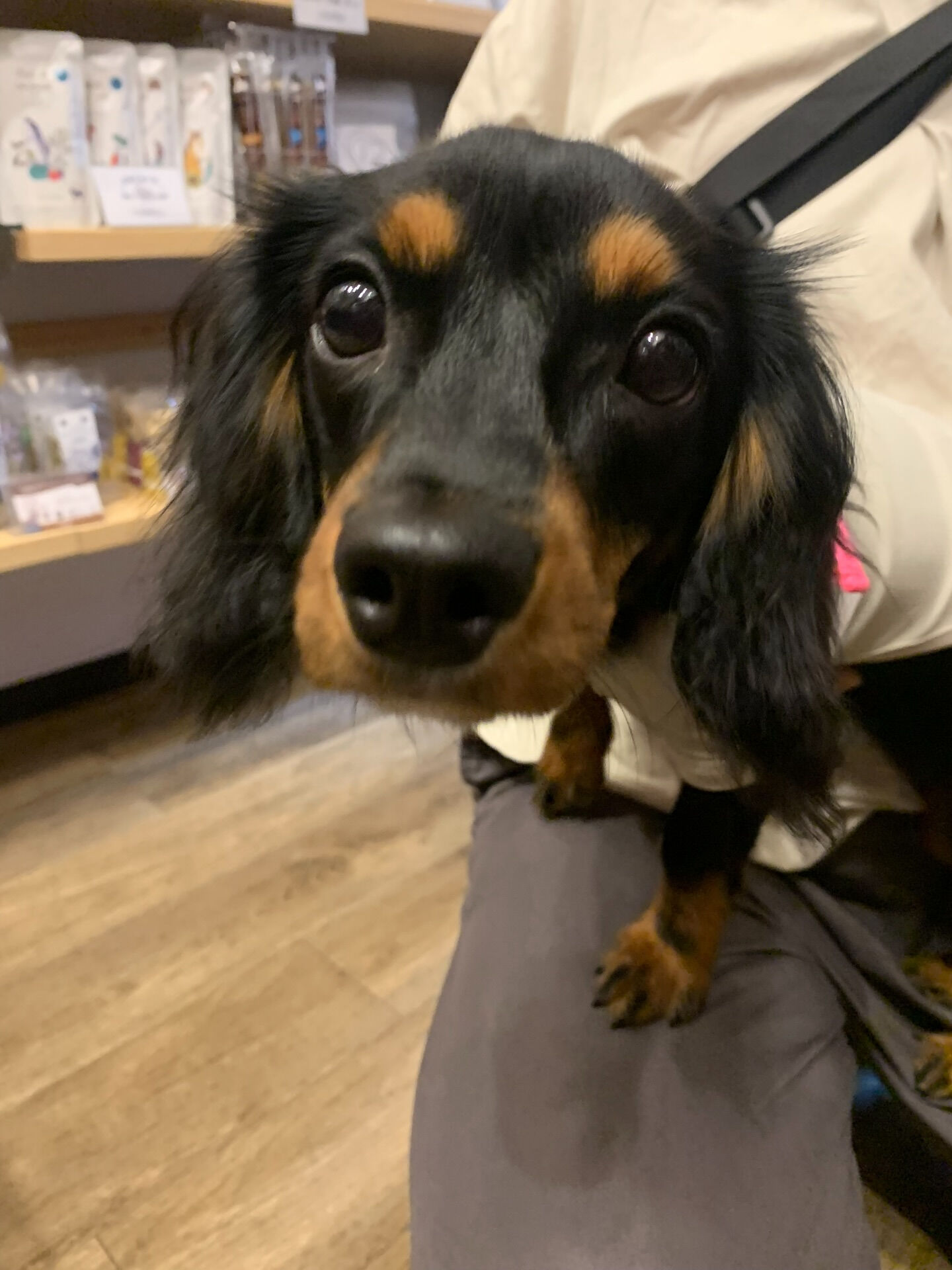てんちゃんご来店ありがとうございます😊