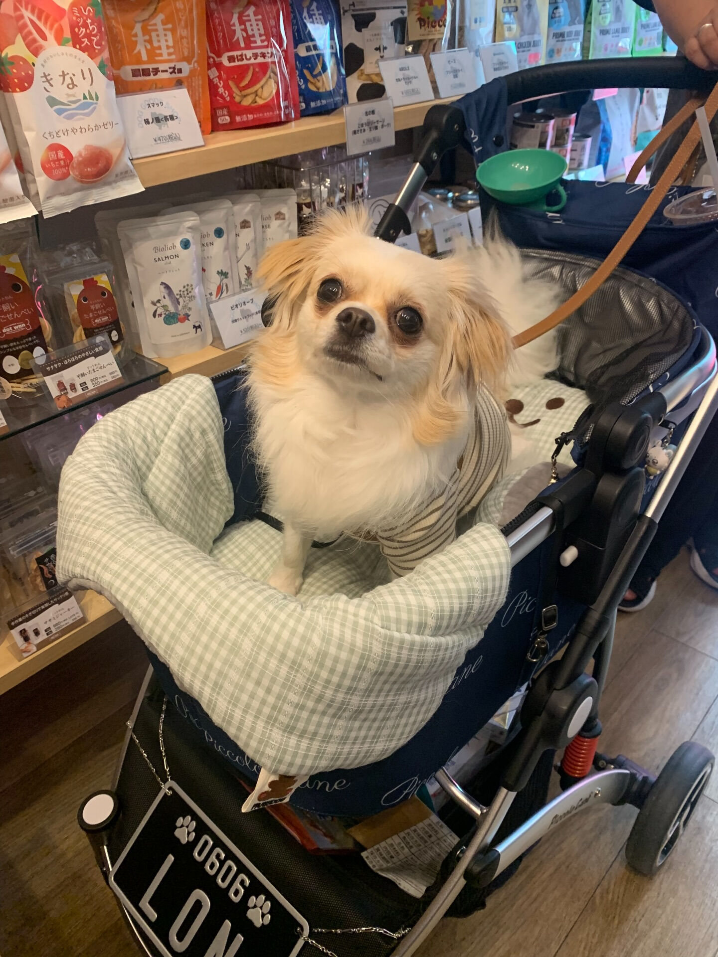 ロンくんご来店ありがとうございます😊