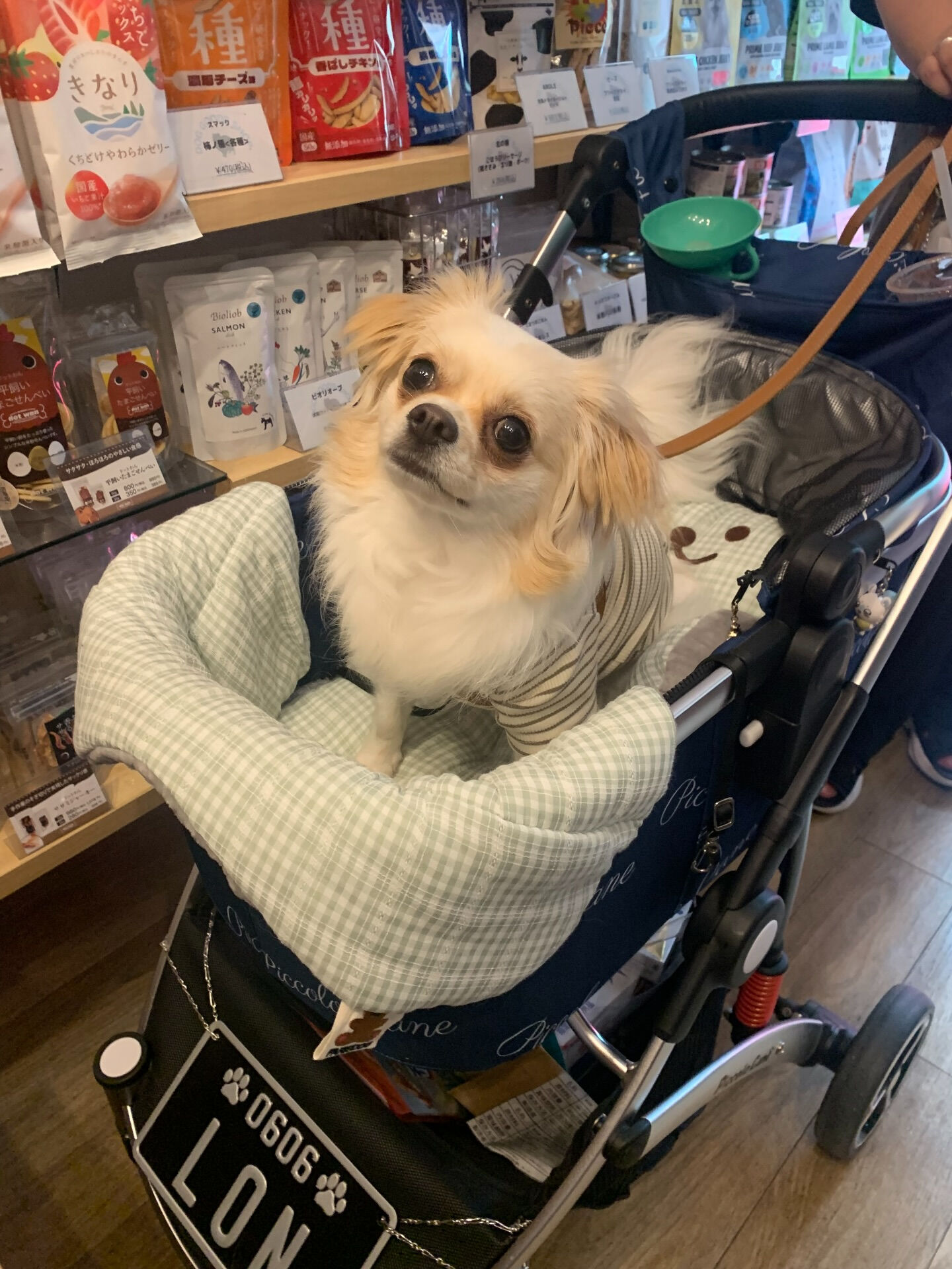 ロンくんご来店ありがとうございます😊