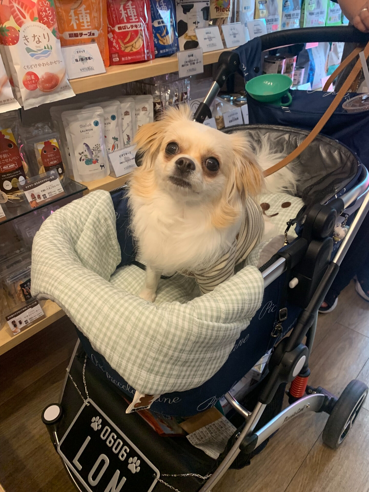 ロンくんご来店ありがとうございます😊