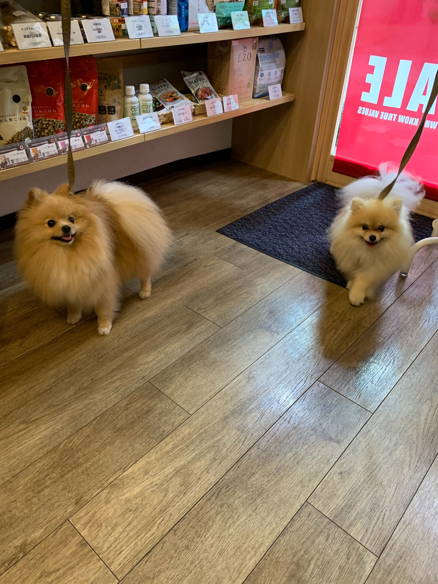 もなかちゃん、つくねちゃんご来店ありがとうございます😊
