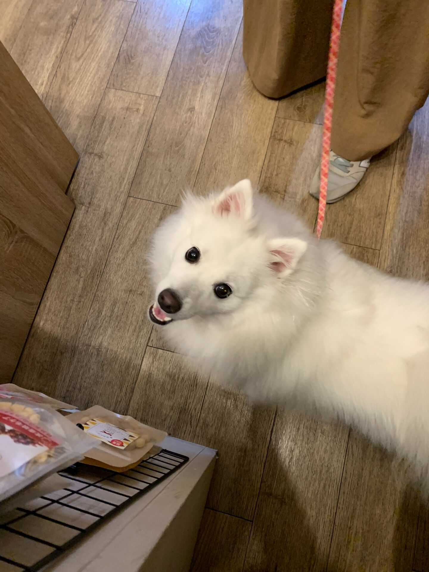 ちゅらちゃんご来店ありがとうございます😊