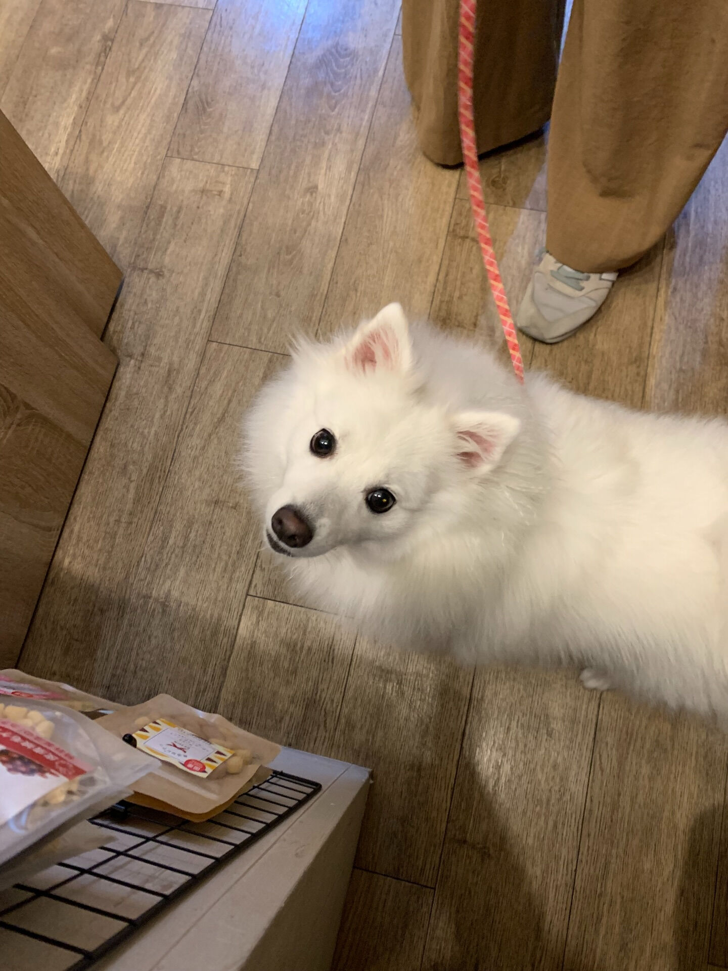 ちゅらちゃんご来店ありがとうございます😊