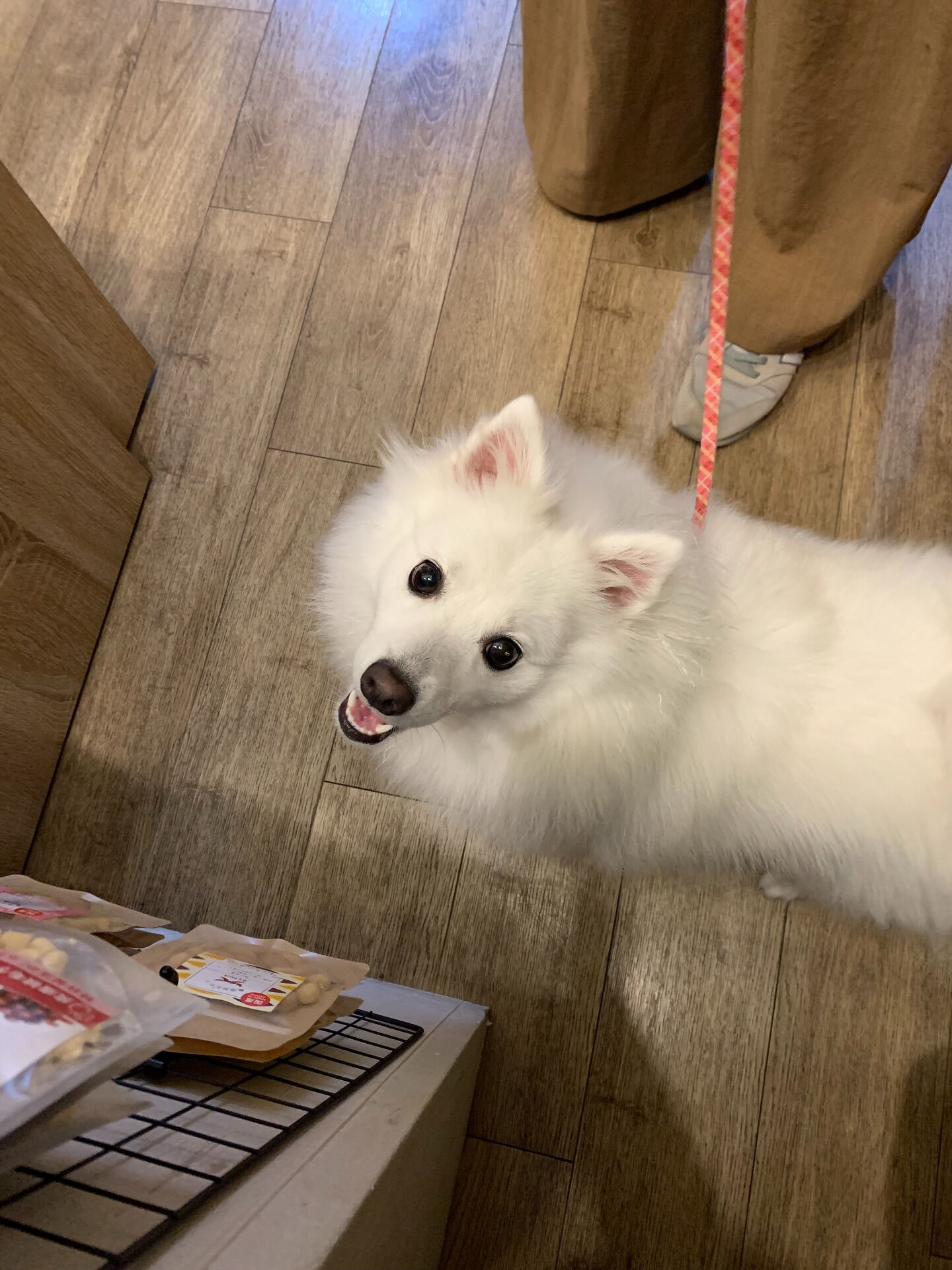 ちゅらちゃんご来店ありがとうございます😊