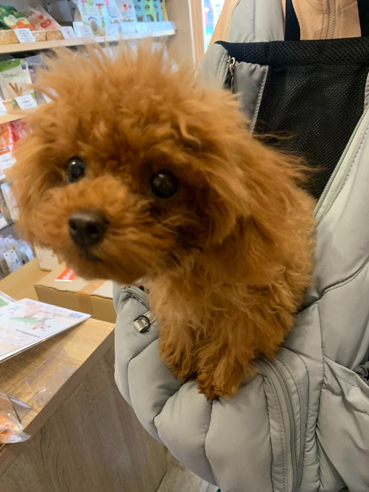 もこちゃん初めまして✨