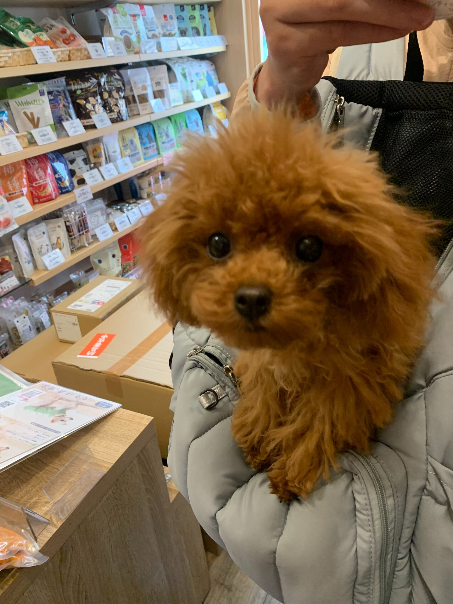 もこちゃん初めまして✨