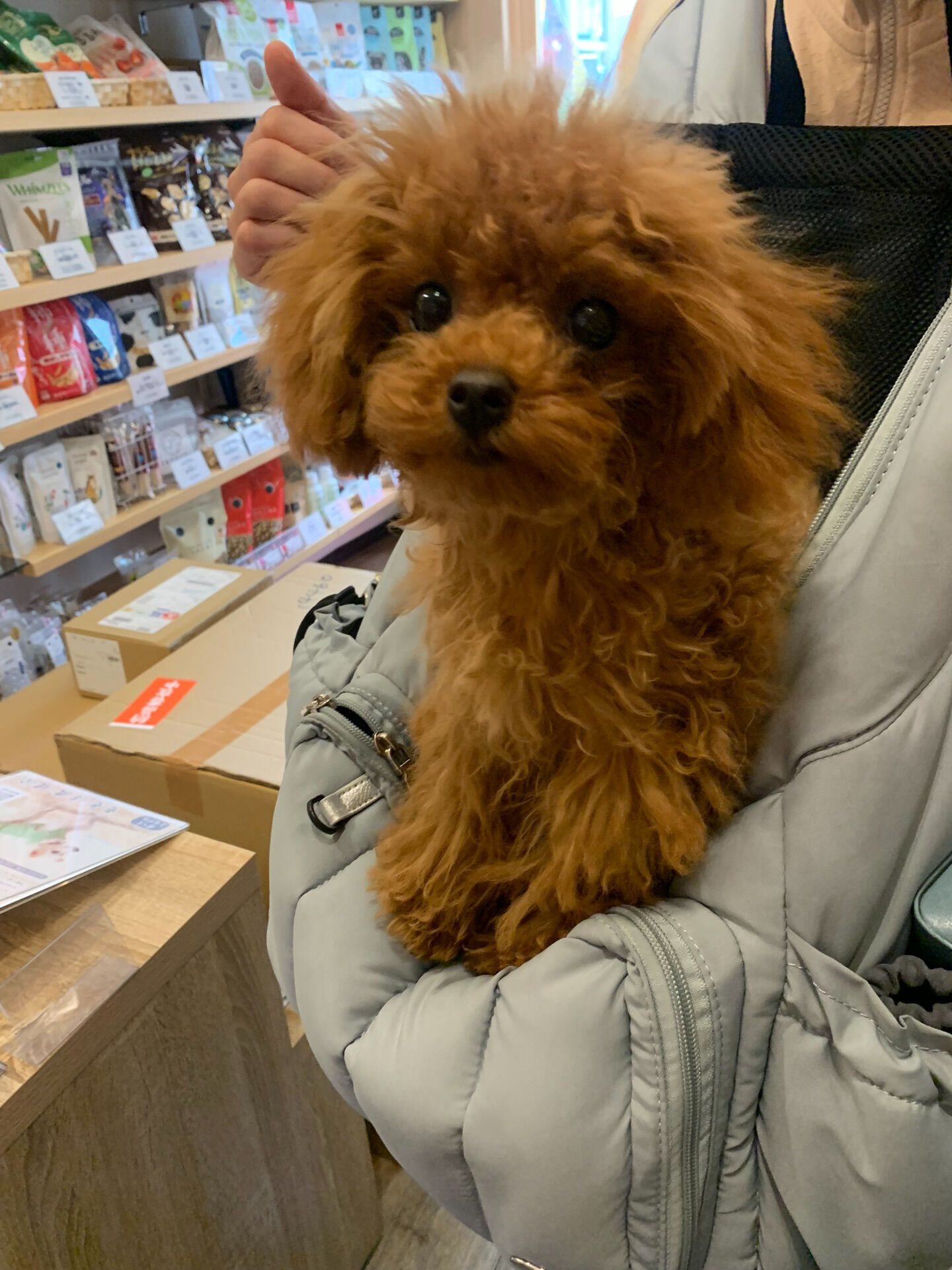 もこちゃん初めまして✨