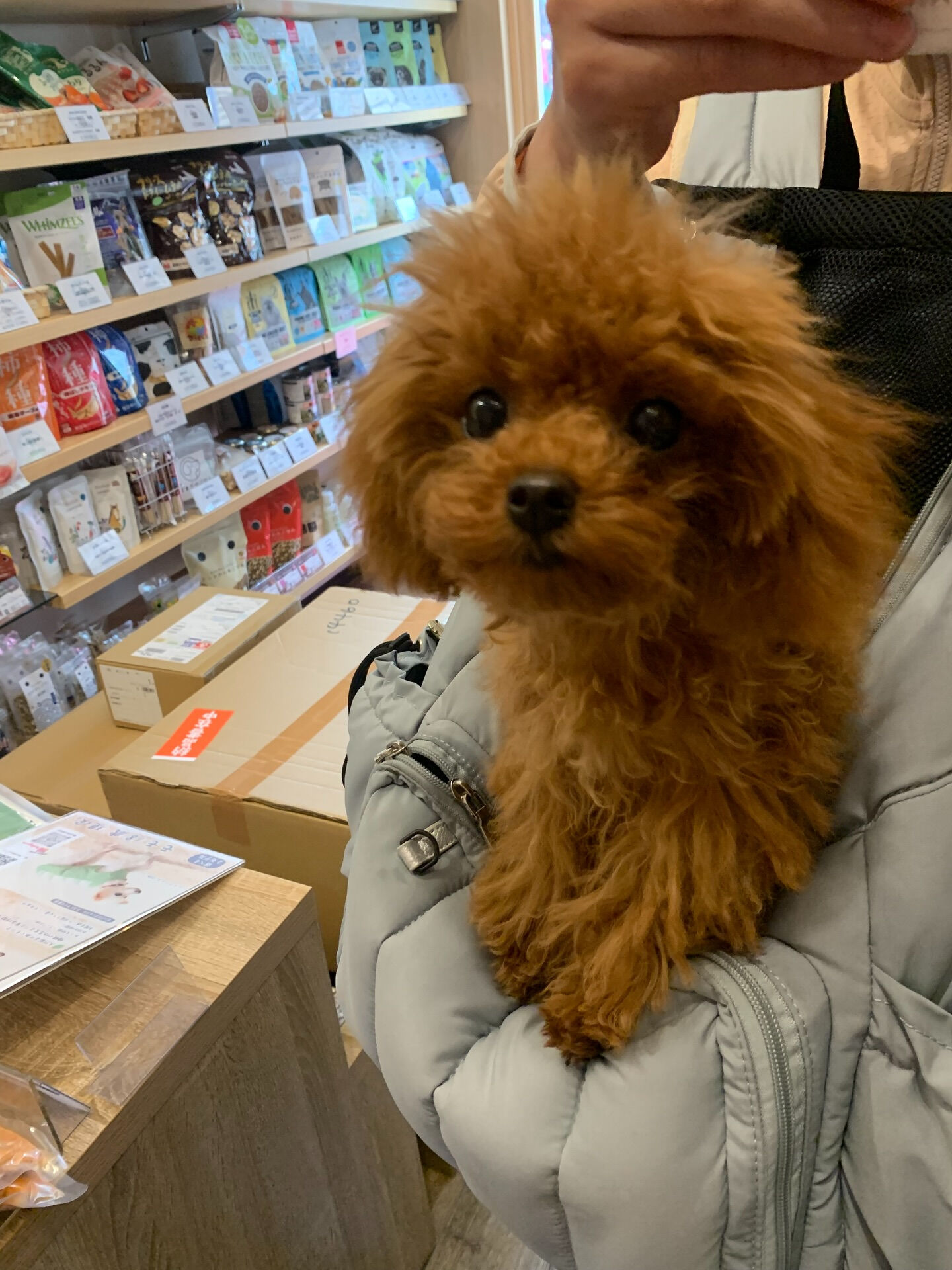 もこちゃん初めまして✨
