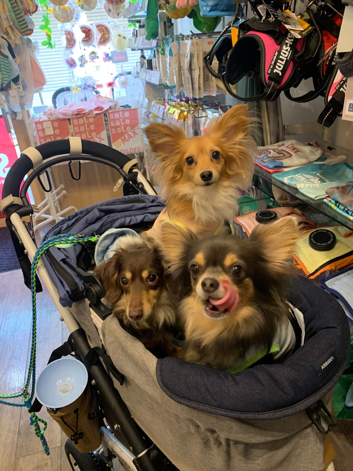 ふうたくん、ひなたくん、かなたくん、そらたくんご来店ありがと