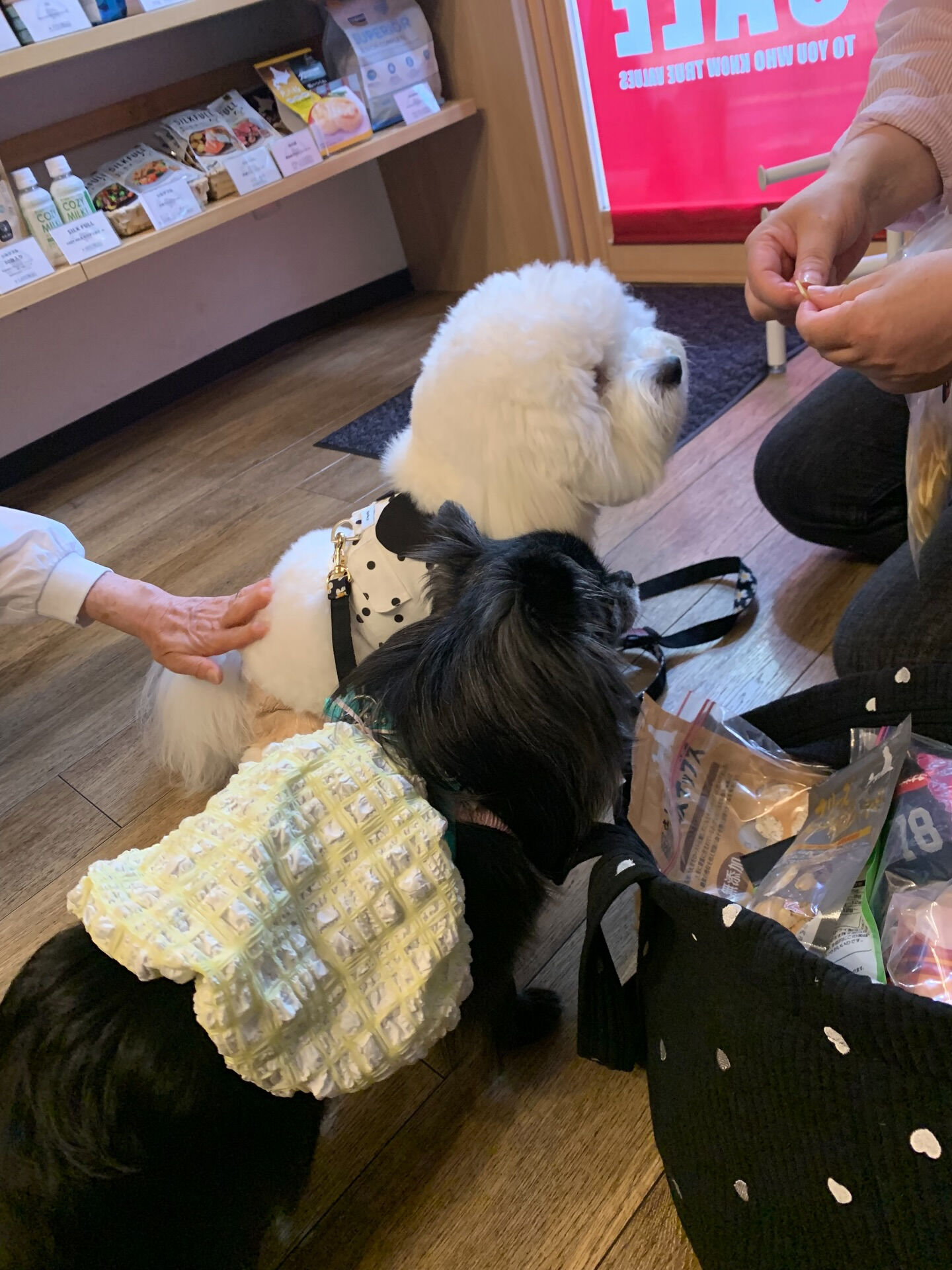 笑心ちゃんご来店ありがとうございます😊