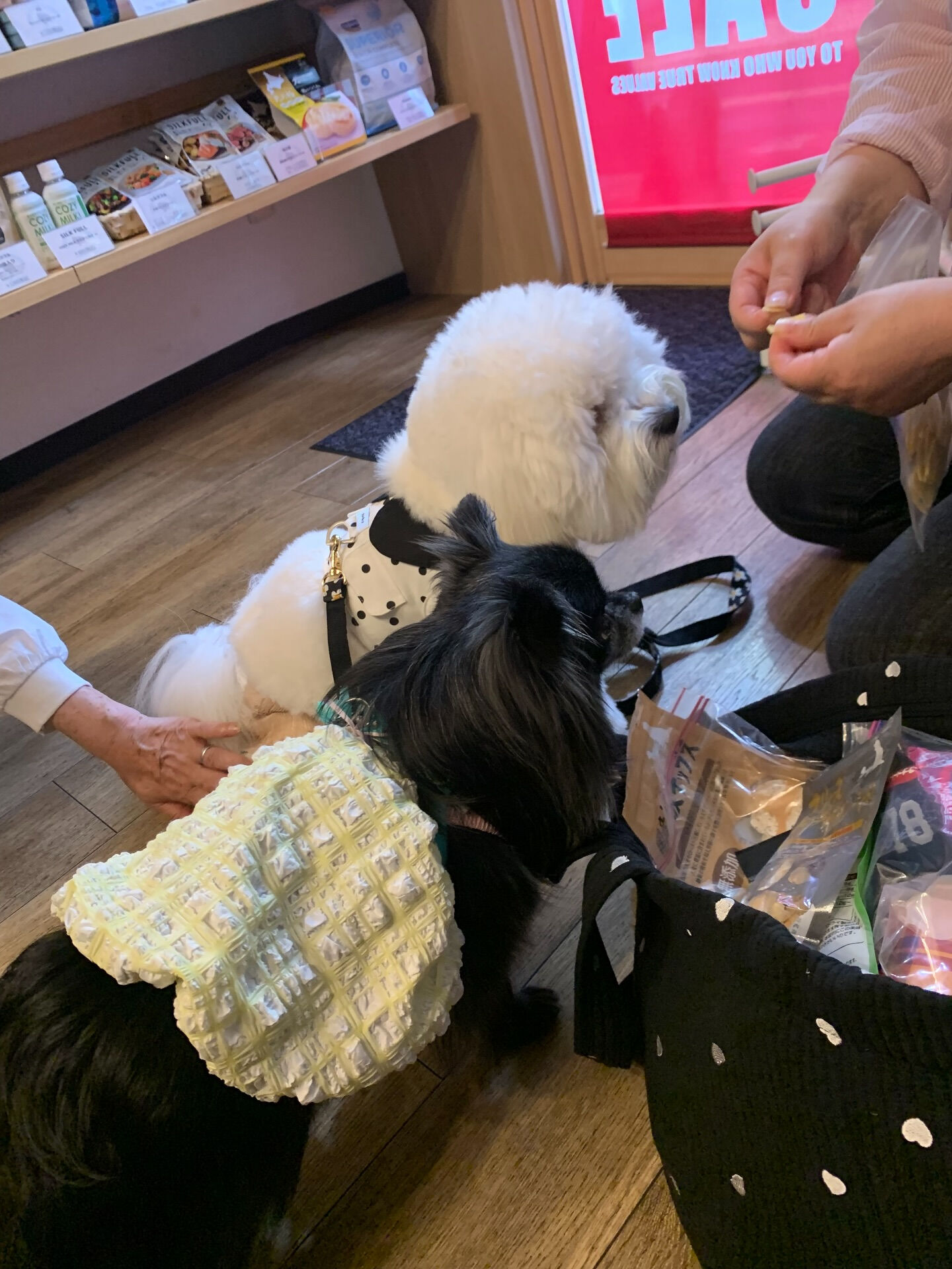 笑心ちゃんご来店ありがとうございます😊
