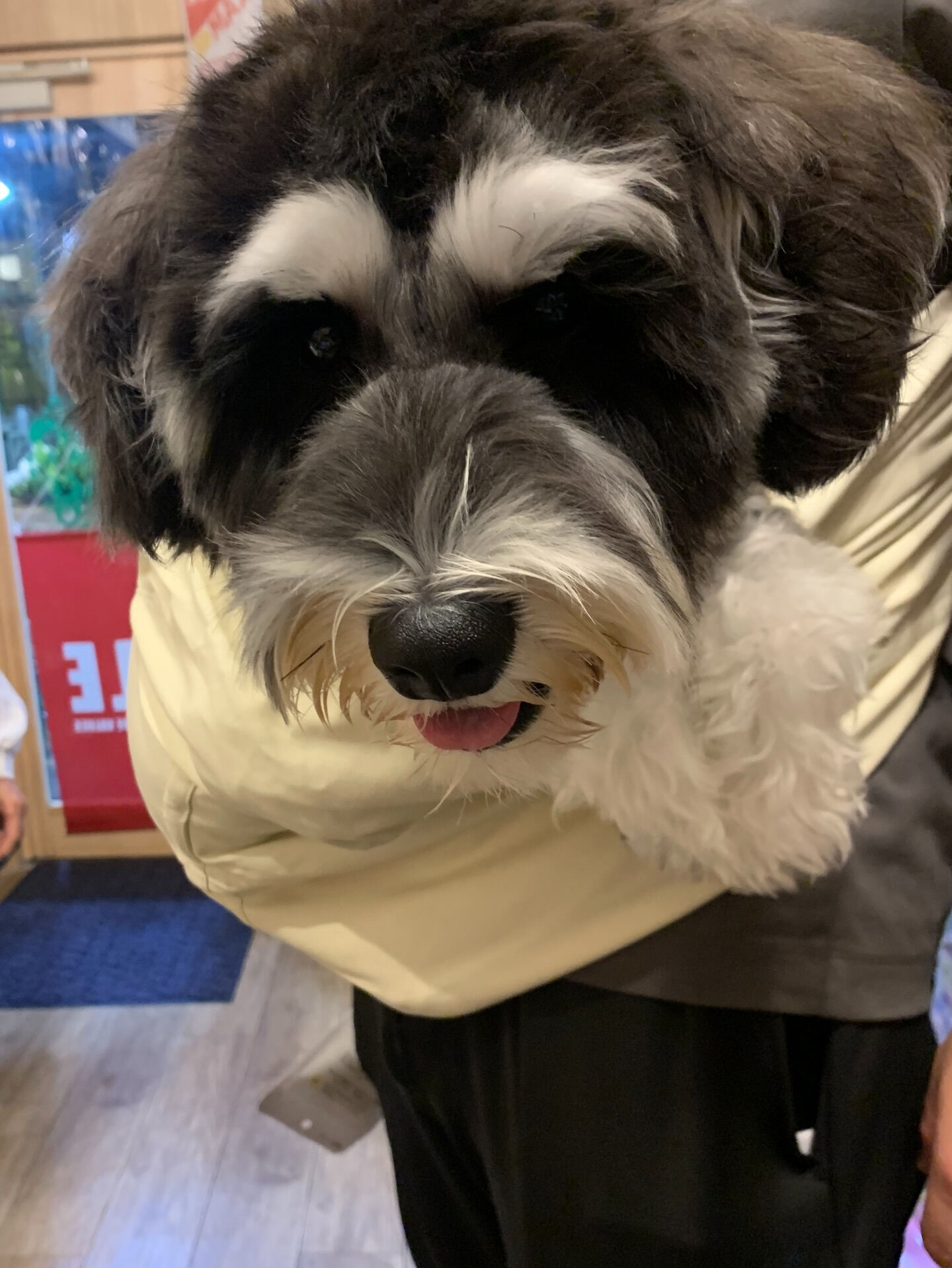 本日の大トリはソルくんでしたー✨