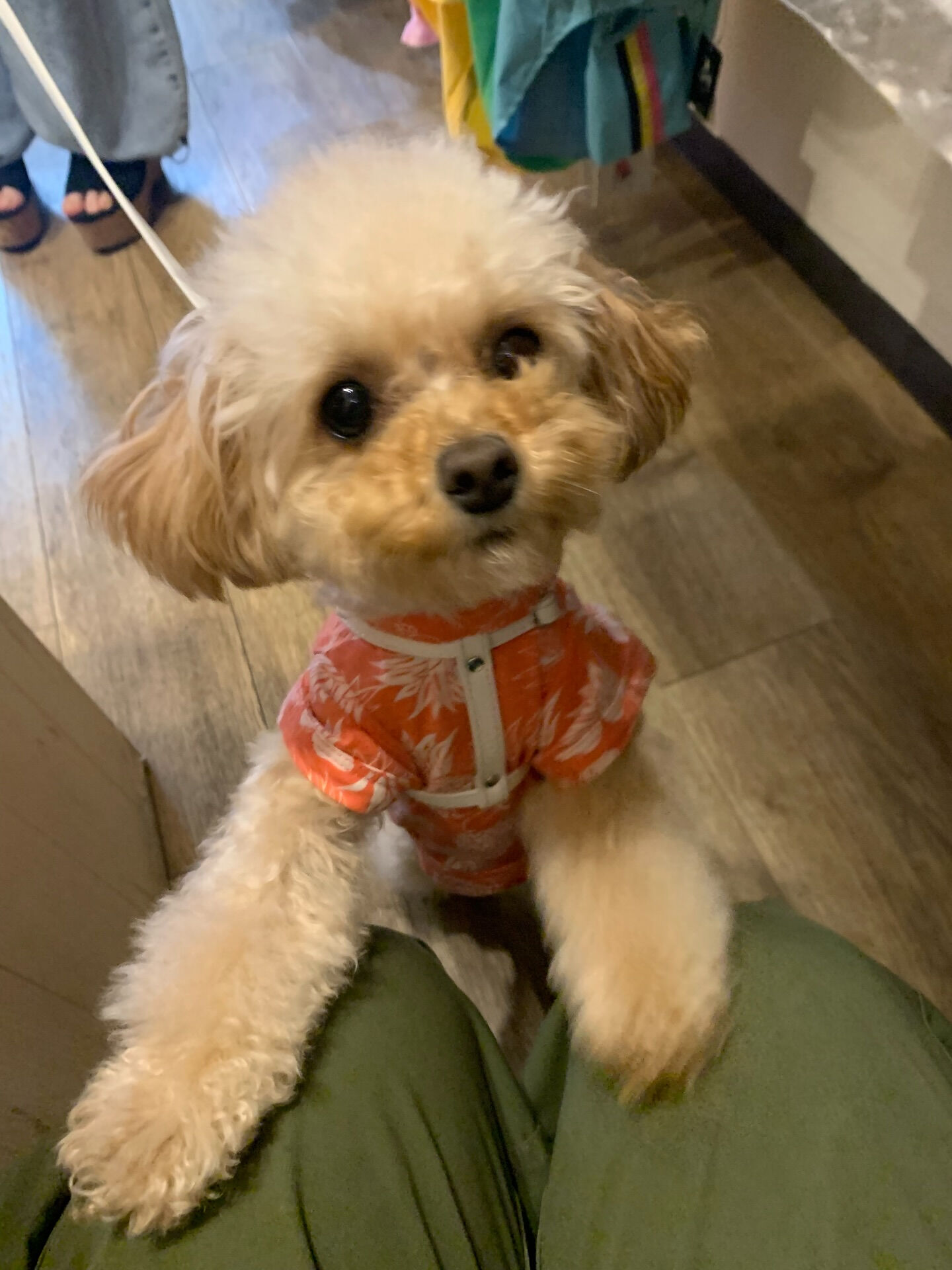 ルナちゃんご来店ありがとうございます😊