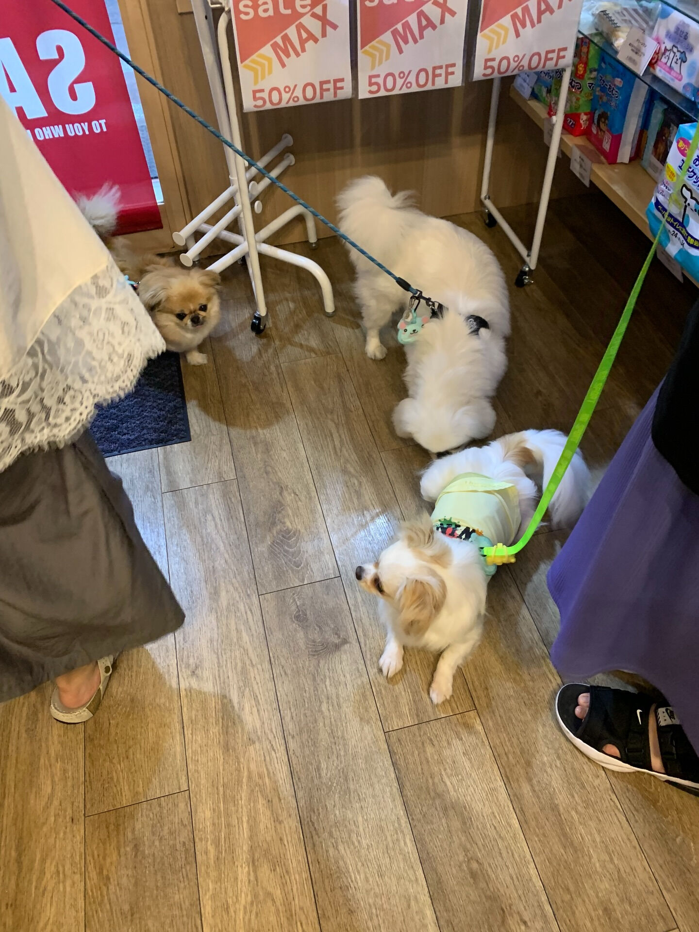 ロンくんご来店ありがとうございます😊