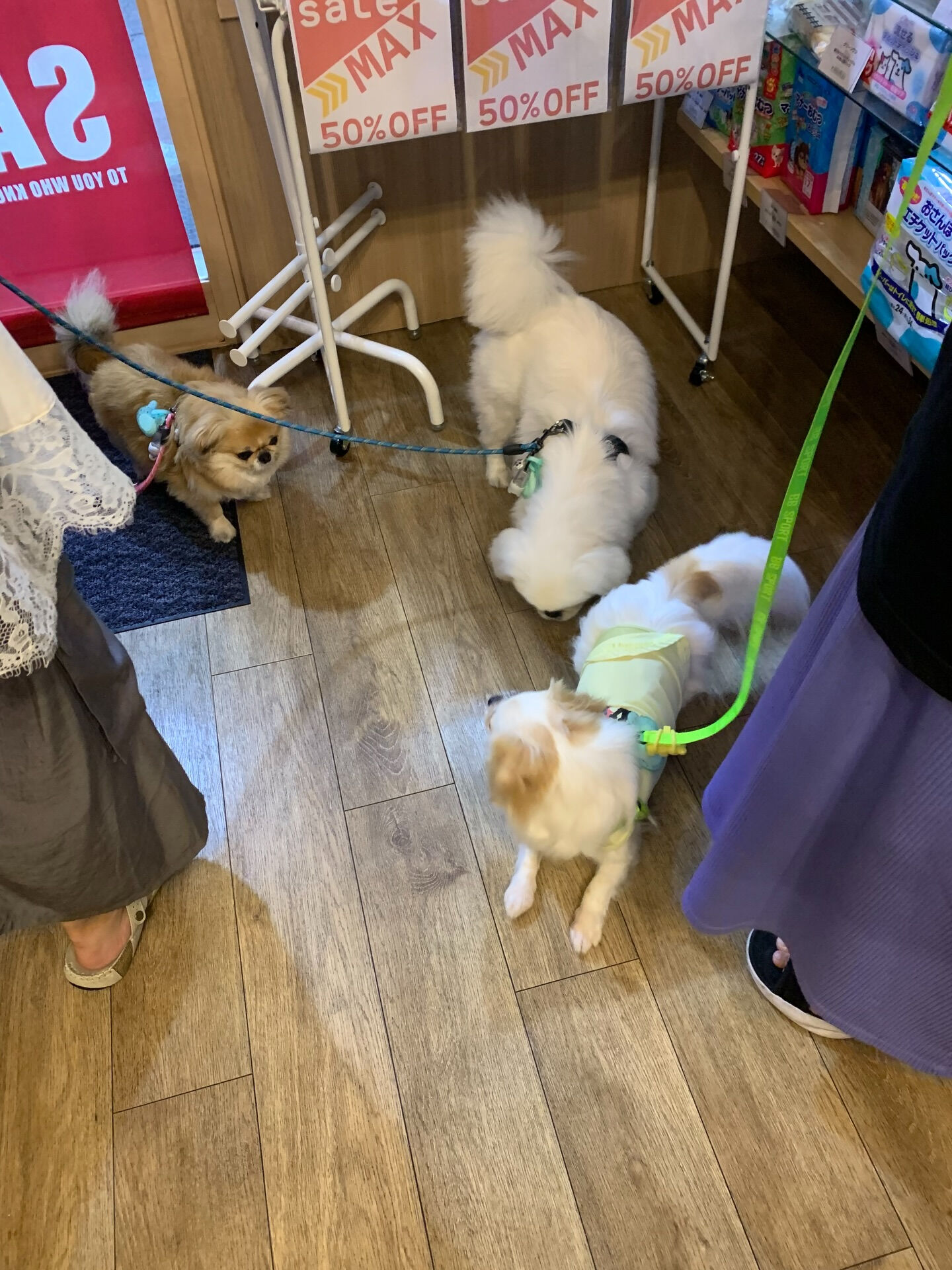 ロンくんご来店ありがとうございます😊