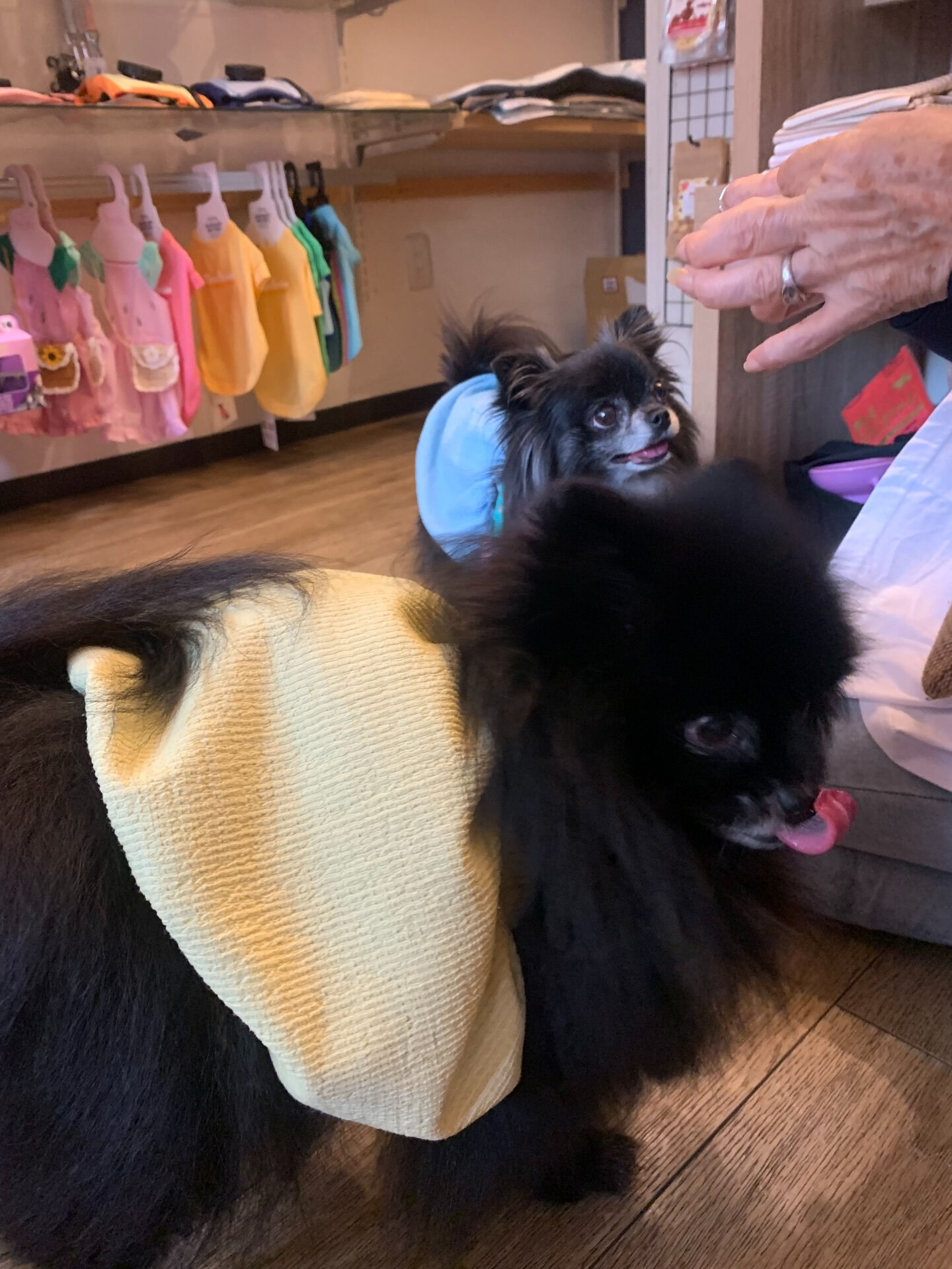 本日の大トリは、ラナちゃんでしたー✨